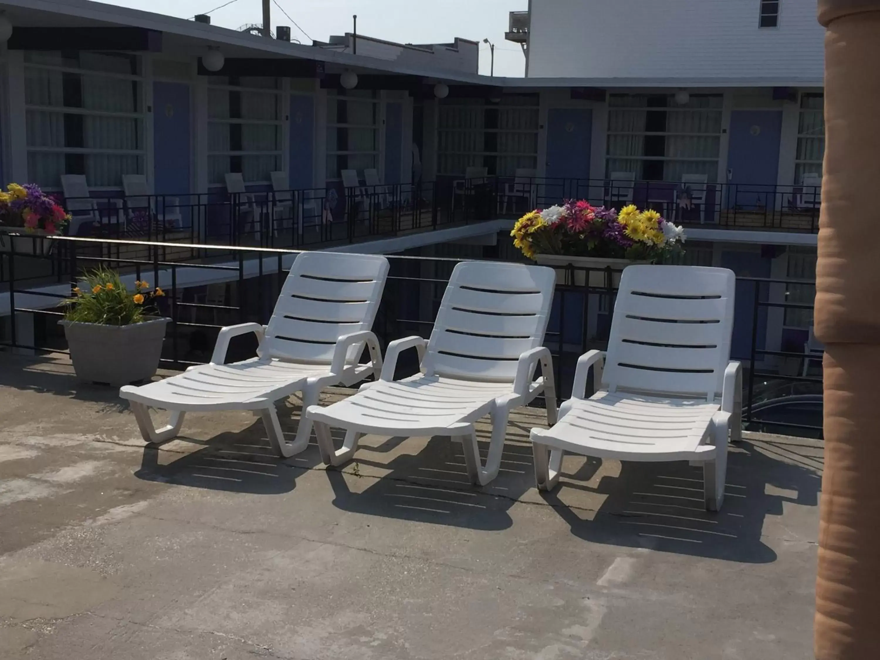 Patio, Patio/Outdoor Area in Monaco Motel - Wildwood