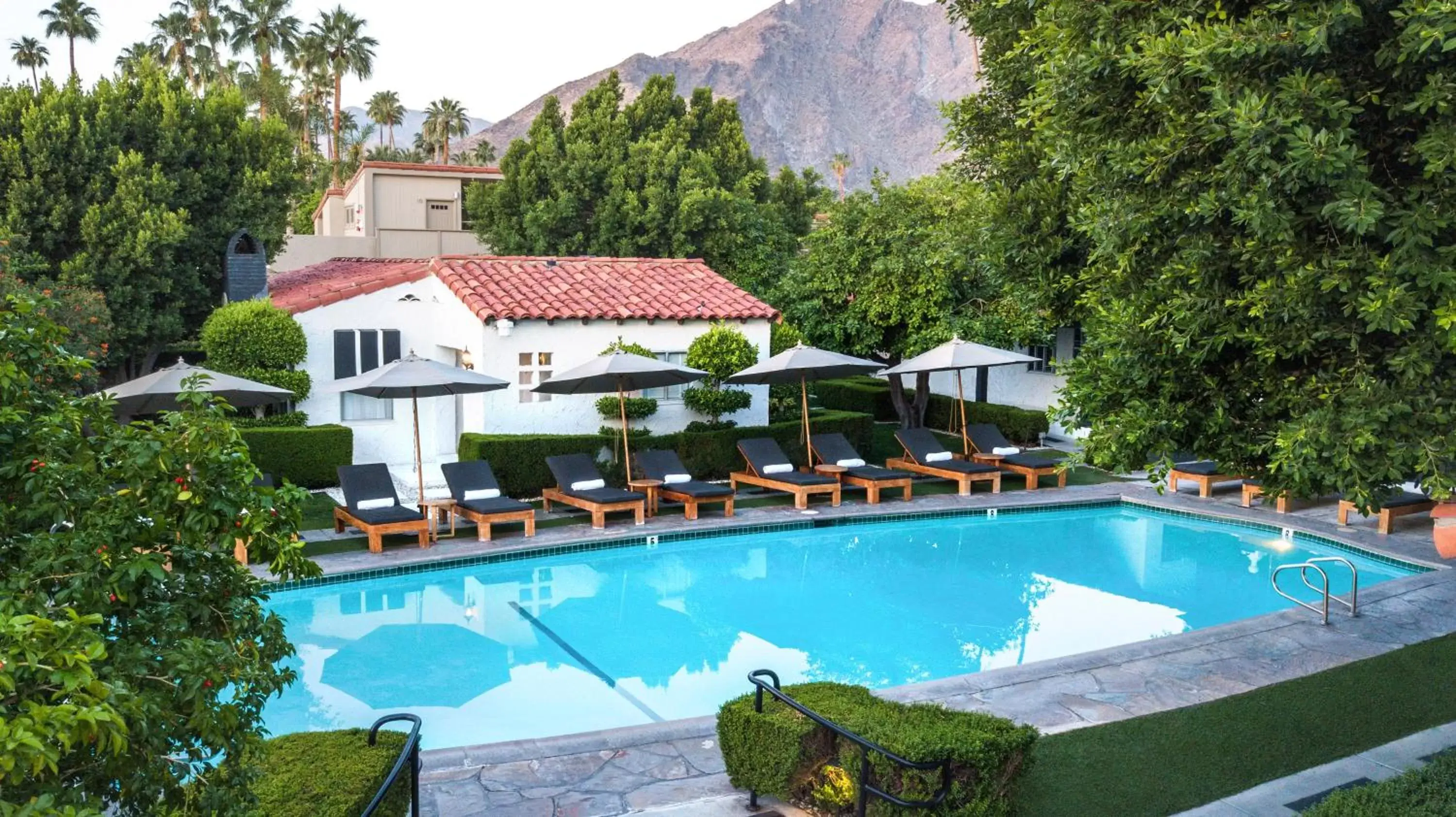 Mountain view, Pool View in Avalon Hotel and Bungalows Palm Springs