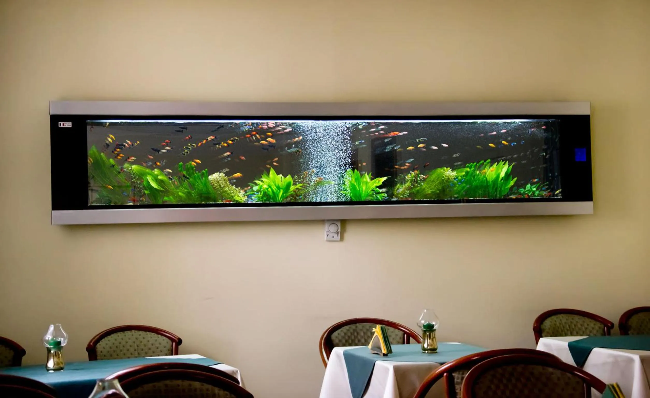 Communal lounge/ TV room in Hotel Brasov