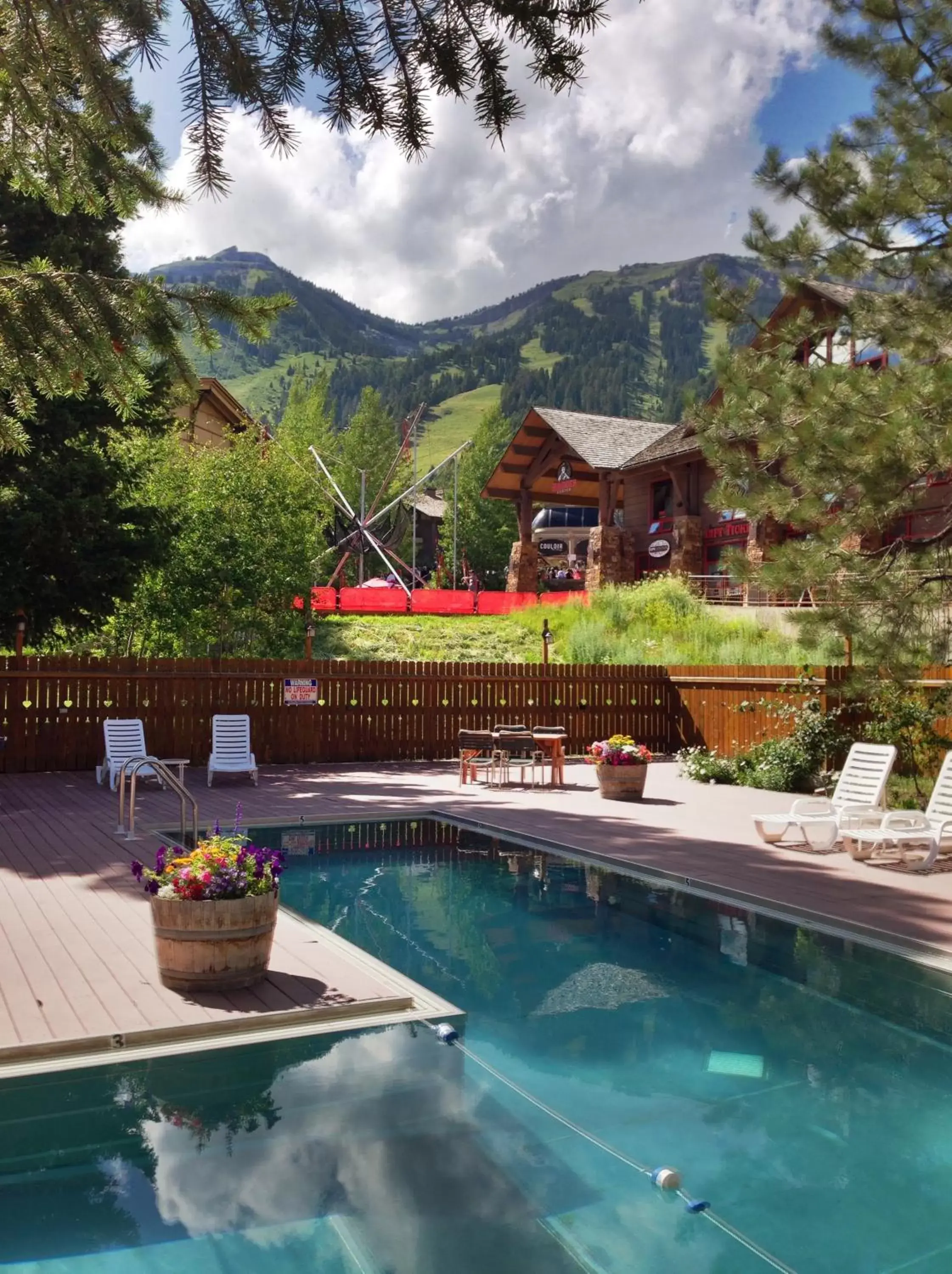 Day, Swimming Pool in The Alpenhof