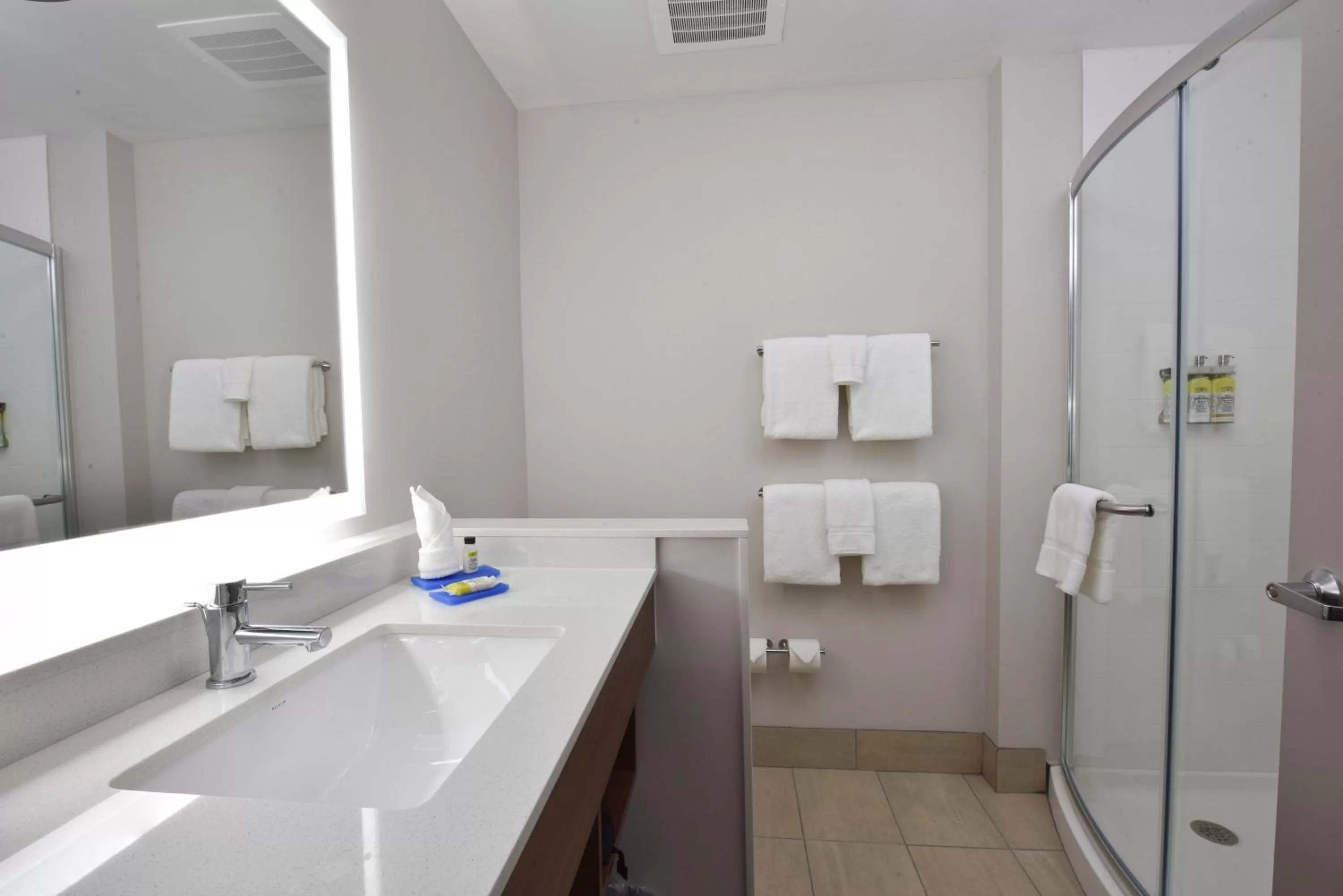 Bathroom in Holiday Inn Express & Suites - Orlando - Southeast by IHG