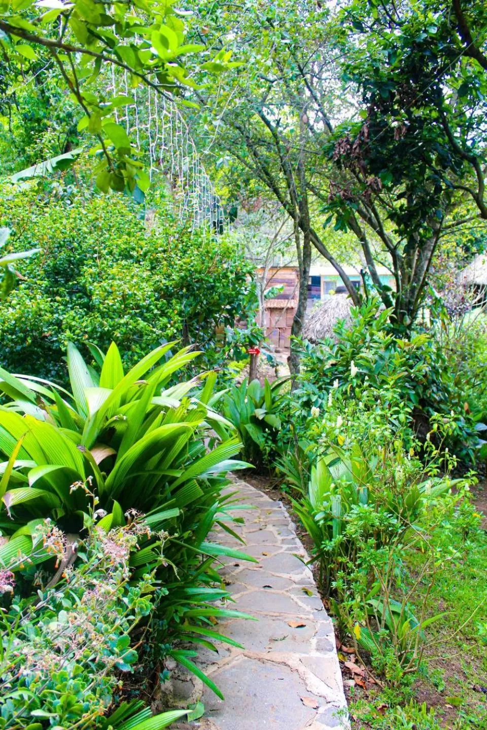 Garden in Eco-Hotel Mayachik