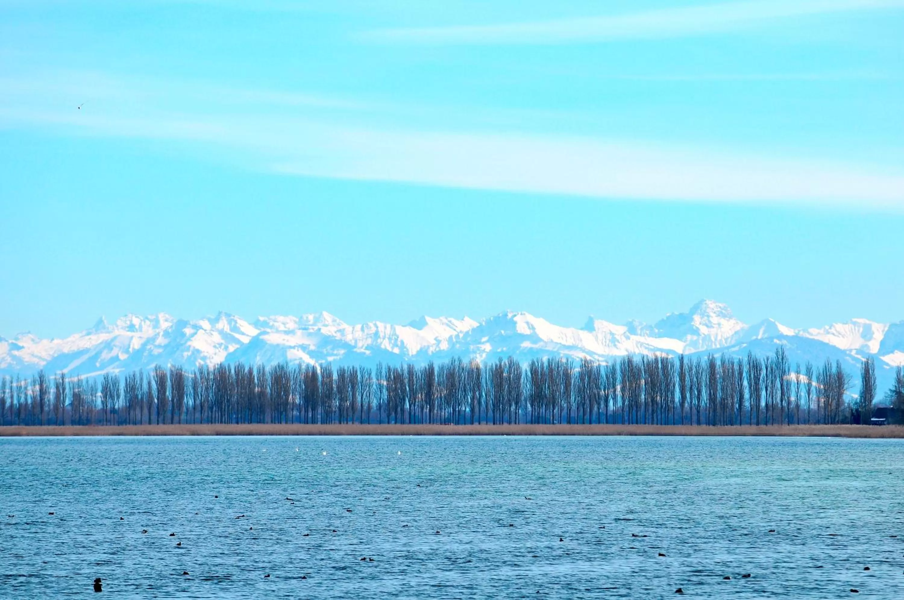 Natural landscape in Hotel mein inselglück