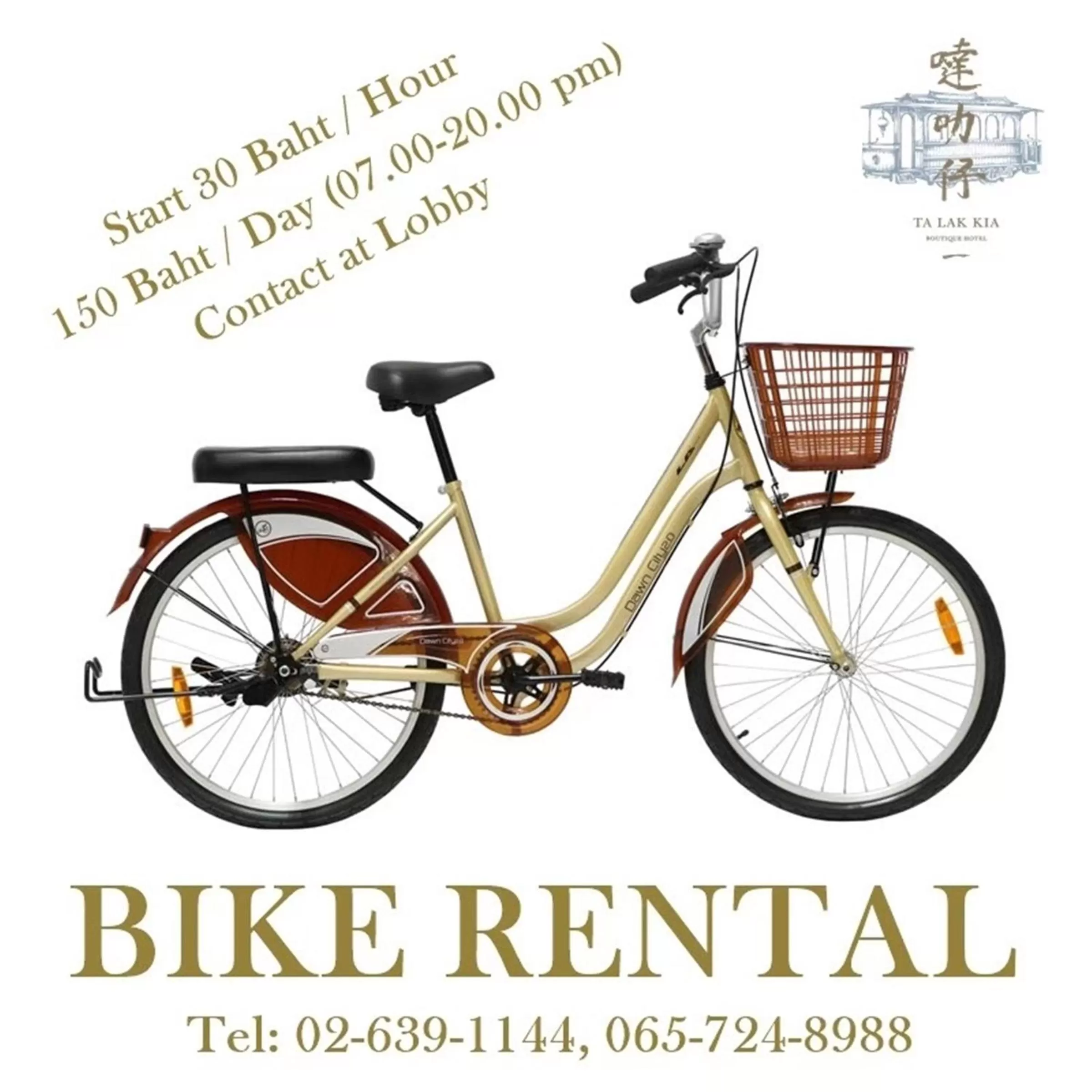 Activities in Talakkia Boutique Hotel