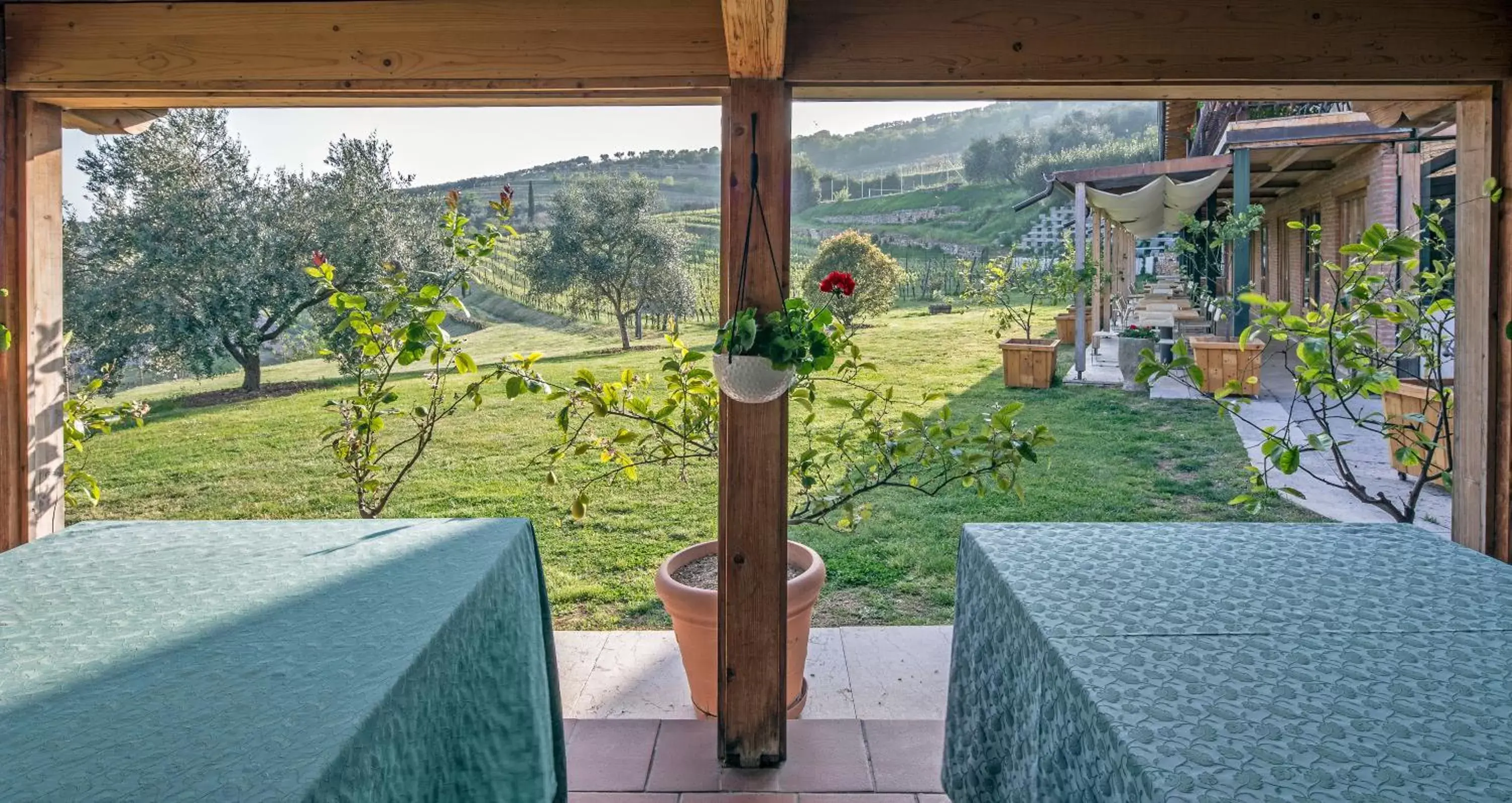 Garden view in Costa degli Ulivi