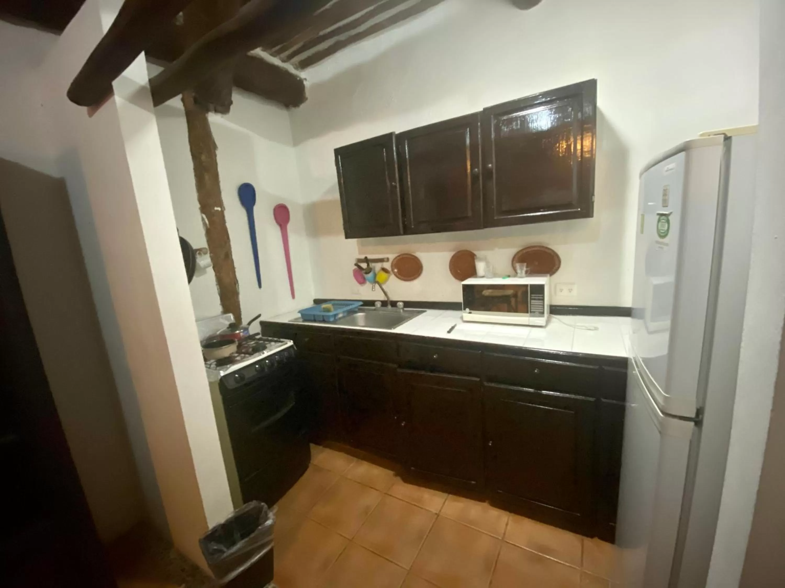 Kitchen or kitchenette in Casa CARIBE Cancun