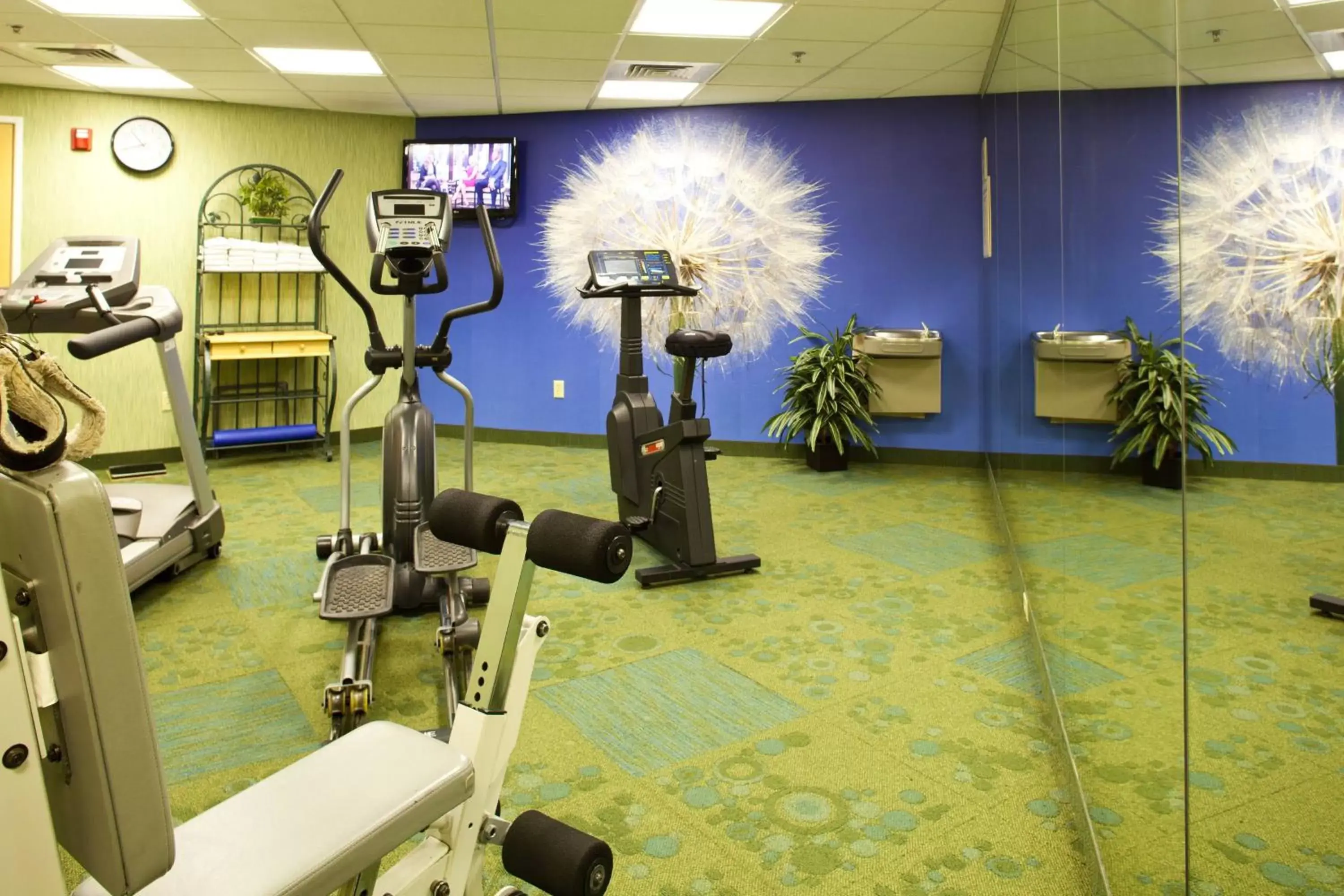 Fitness centre/facilities, Fitness Center/Facilities in SpringHill Suites Prescott