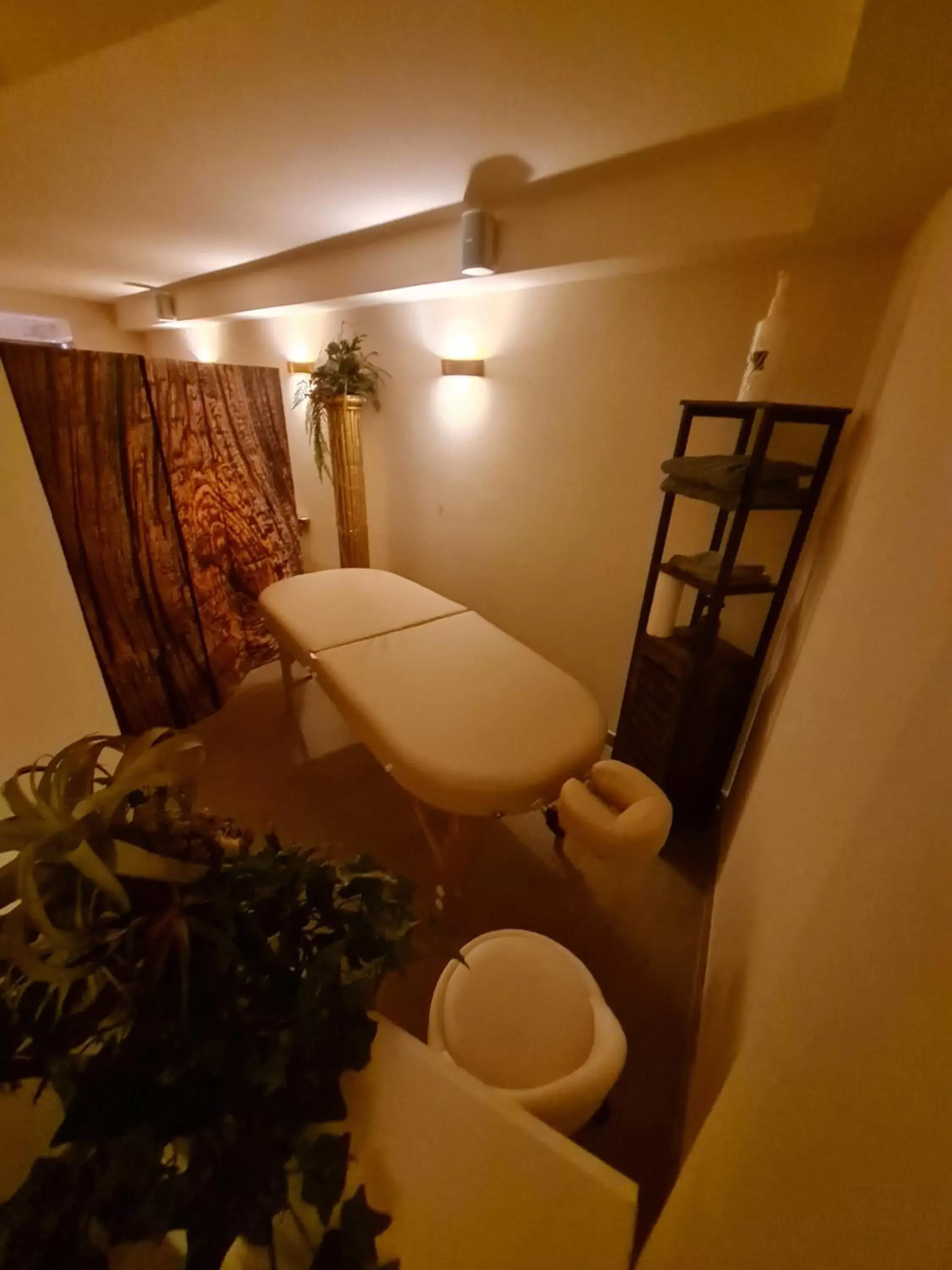 Massage, Bathroom in Hotel Belvedere