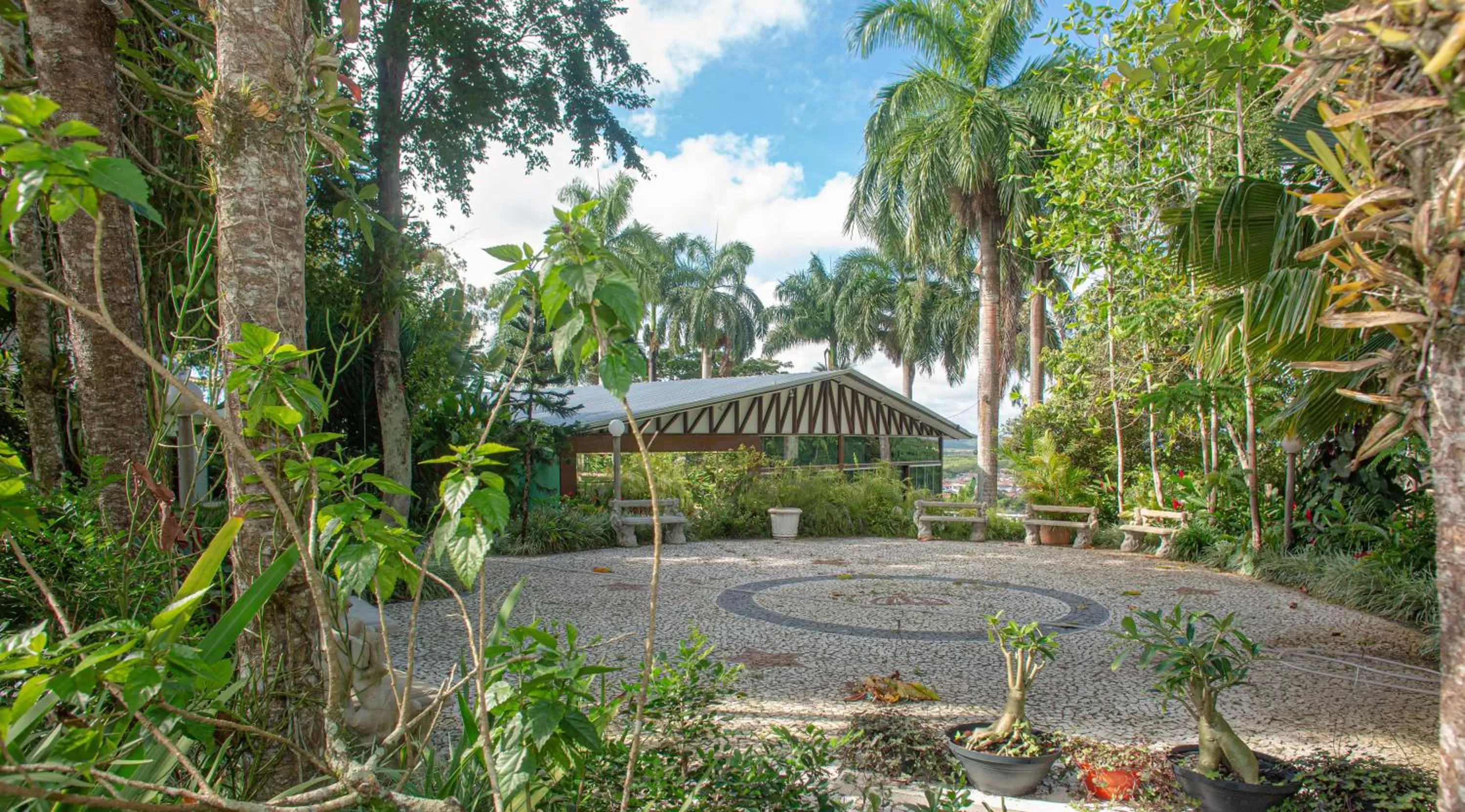 Garden in Hotel Solar do Imperador