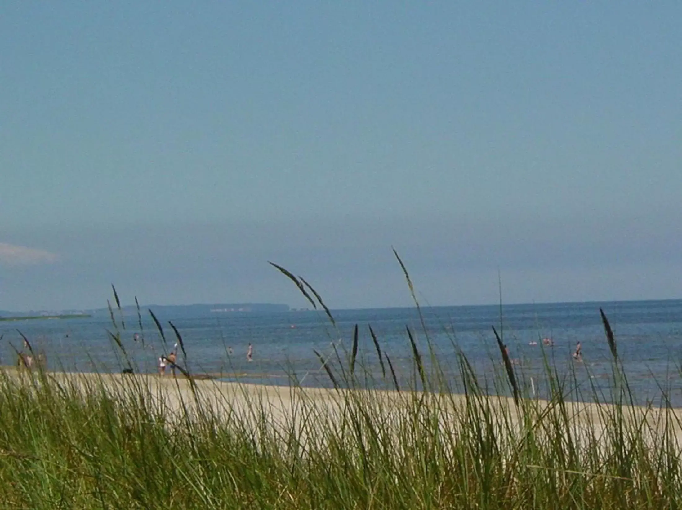 Beach, Other Animals in Hotel Villa Strandrose