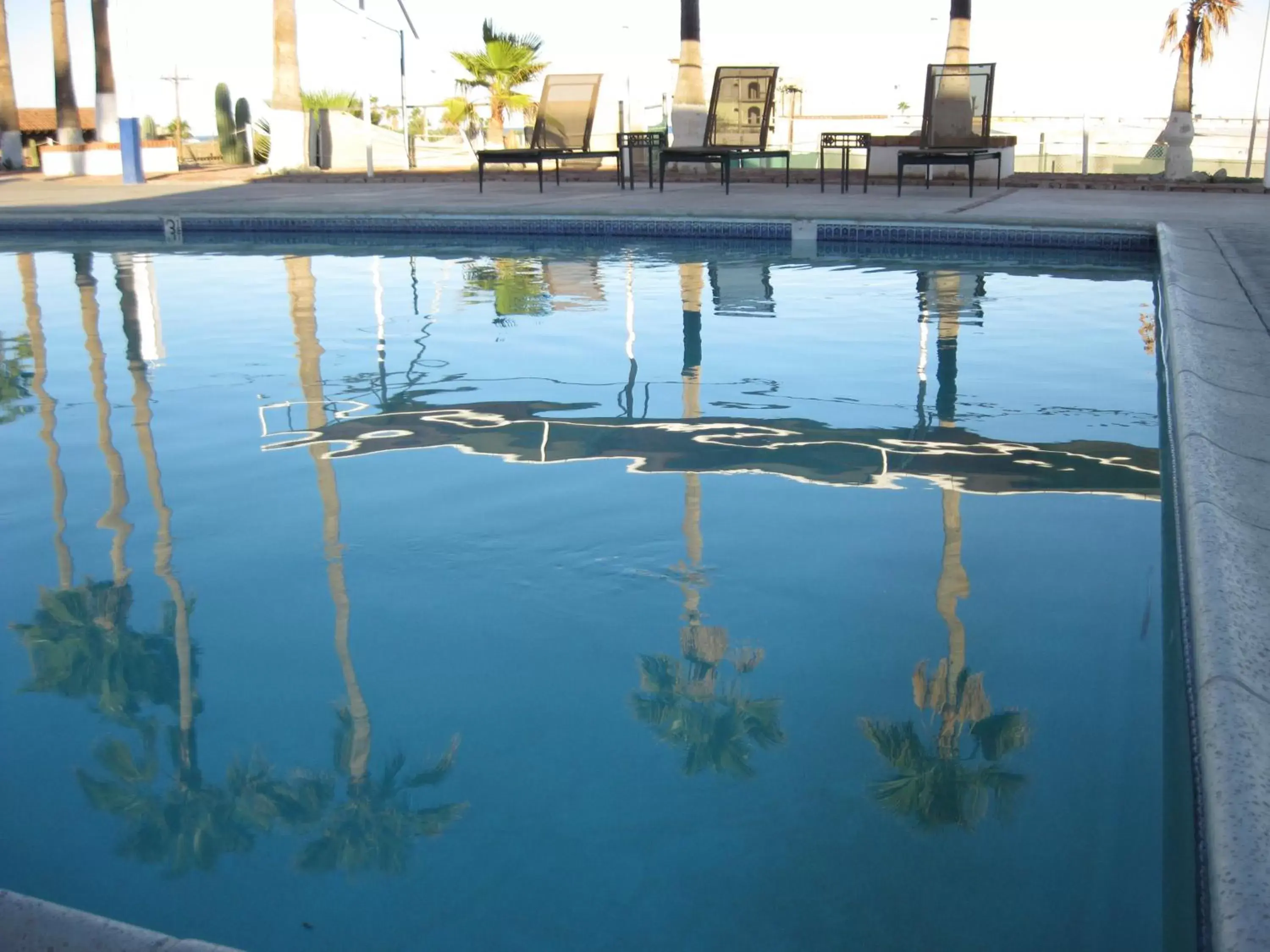 Swimming Pool in Hotel Las Palmas