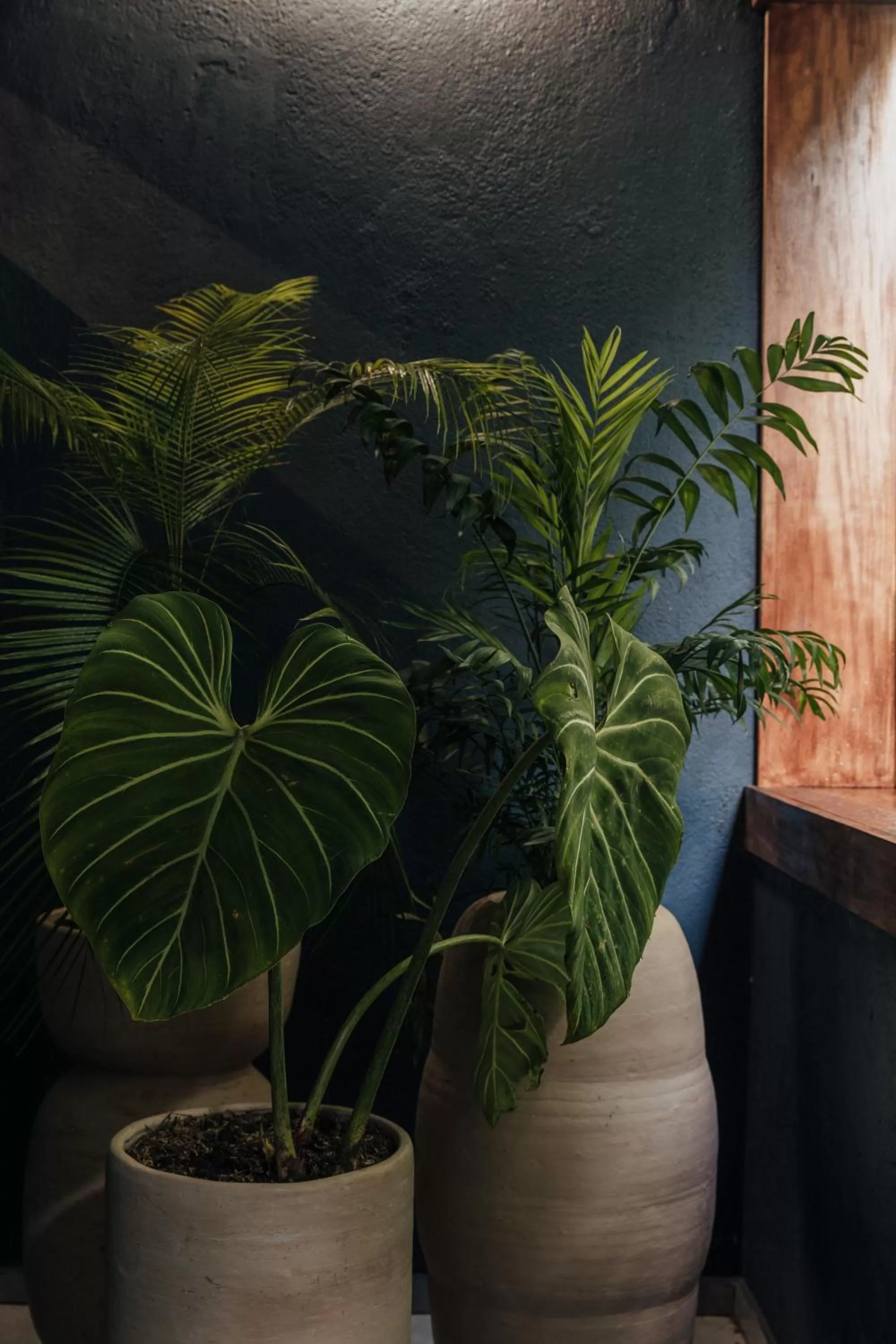 Balcony/Terrace in Sui Boutique Hotel