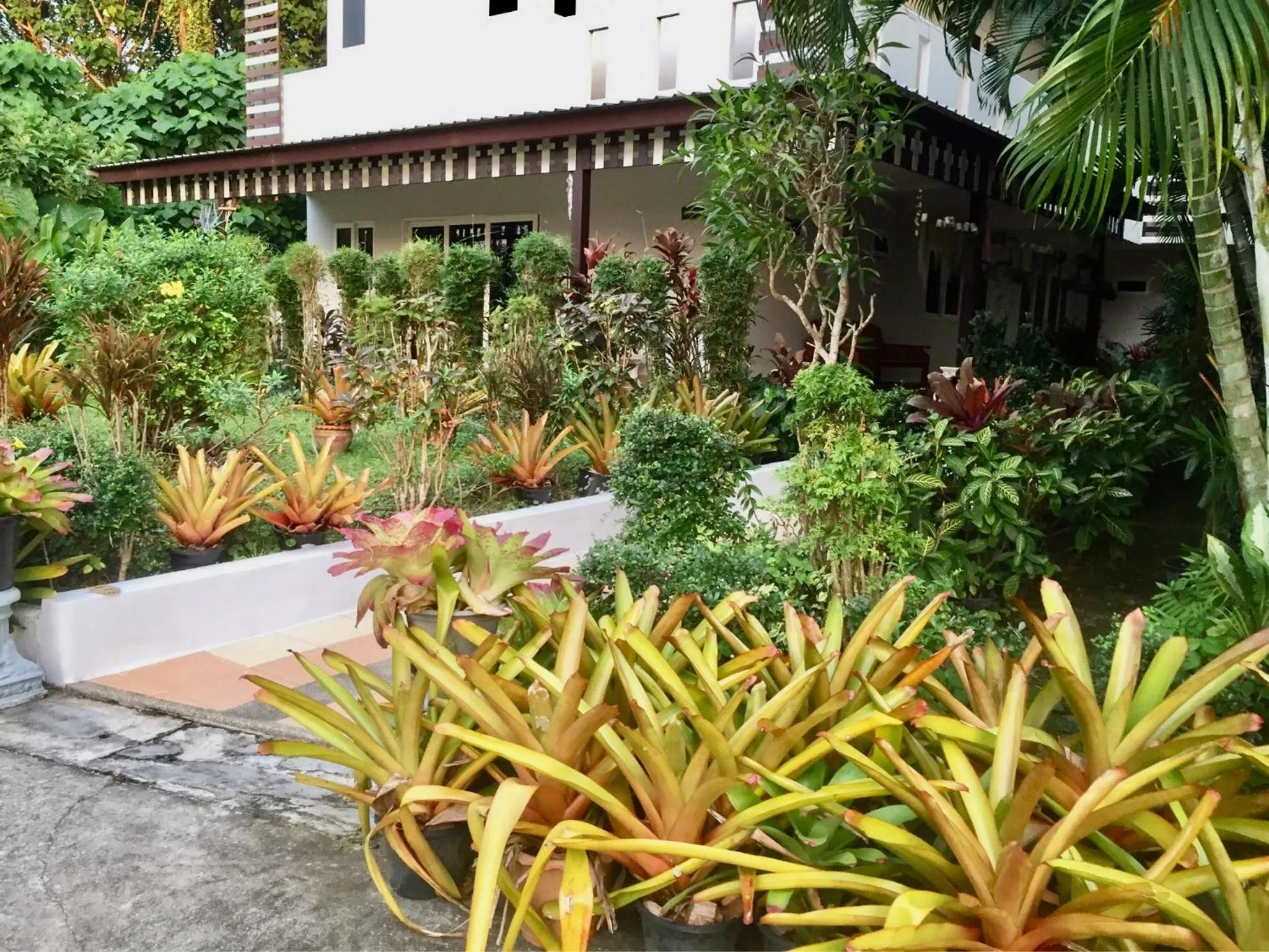 Garden in Siray House