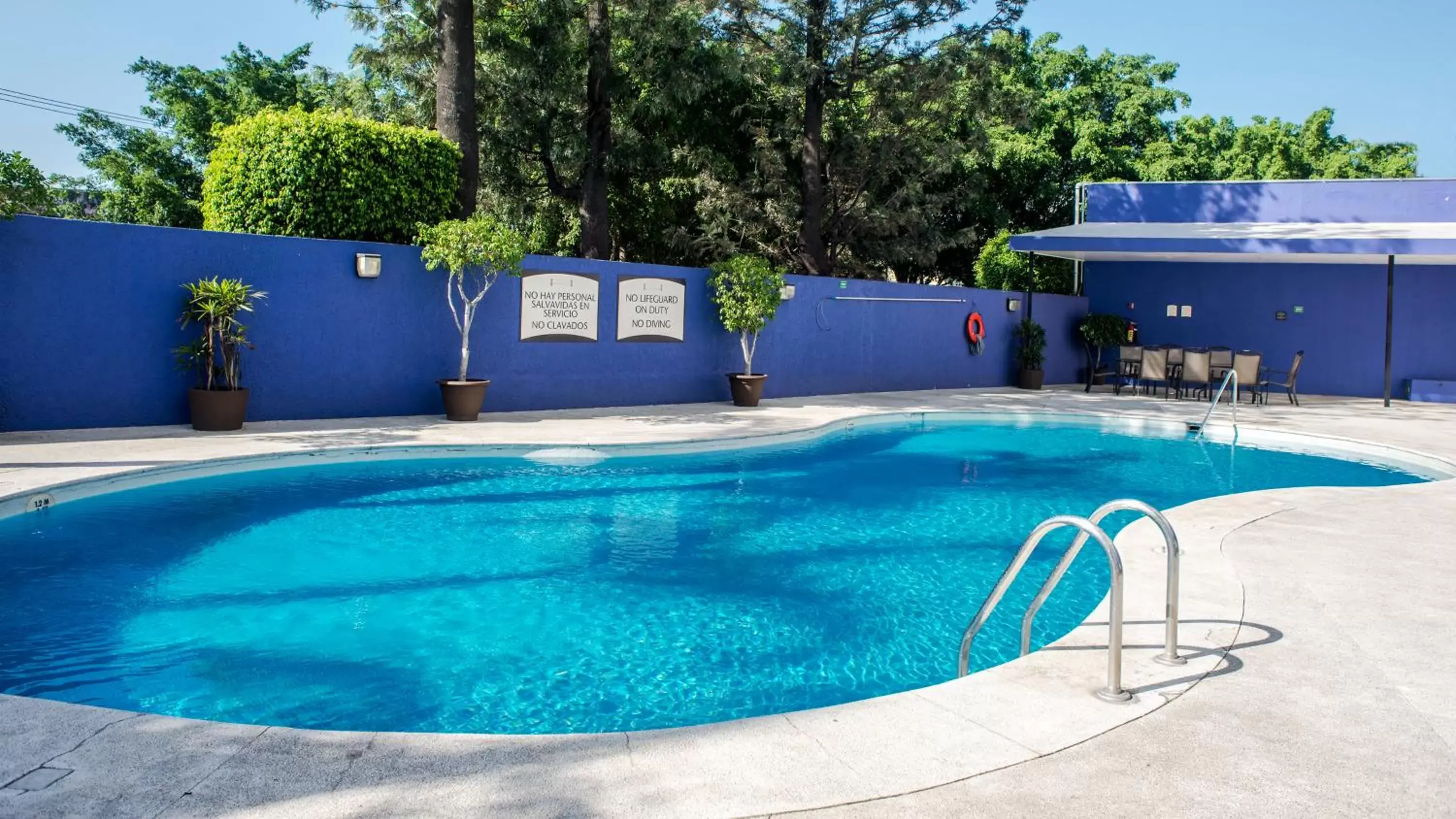 Swimming Pool in Staybridge Suites Guadalajara Expo, an IHG Hotel