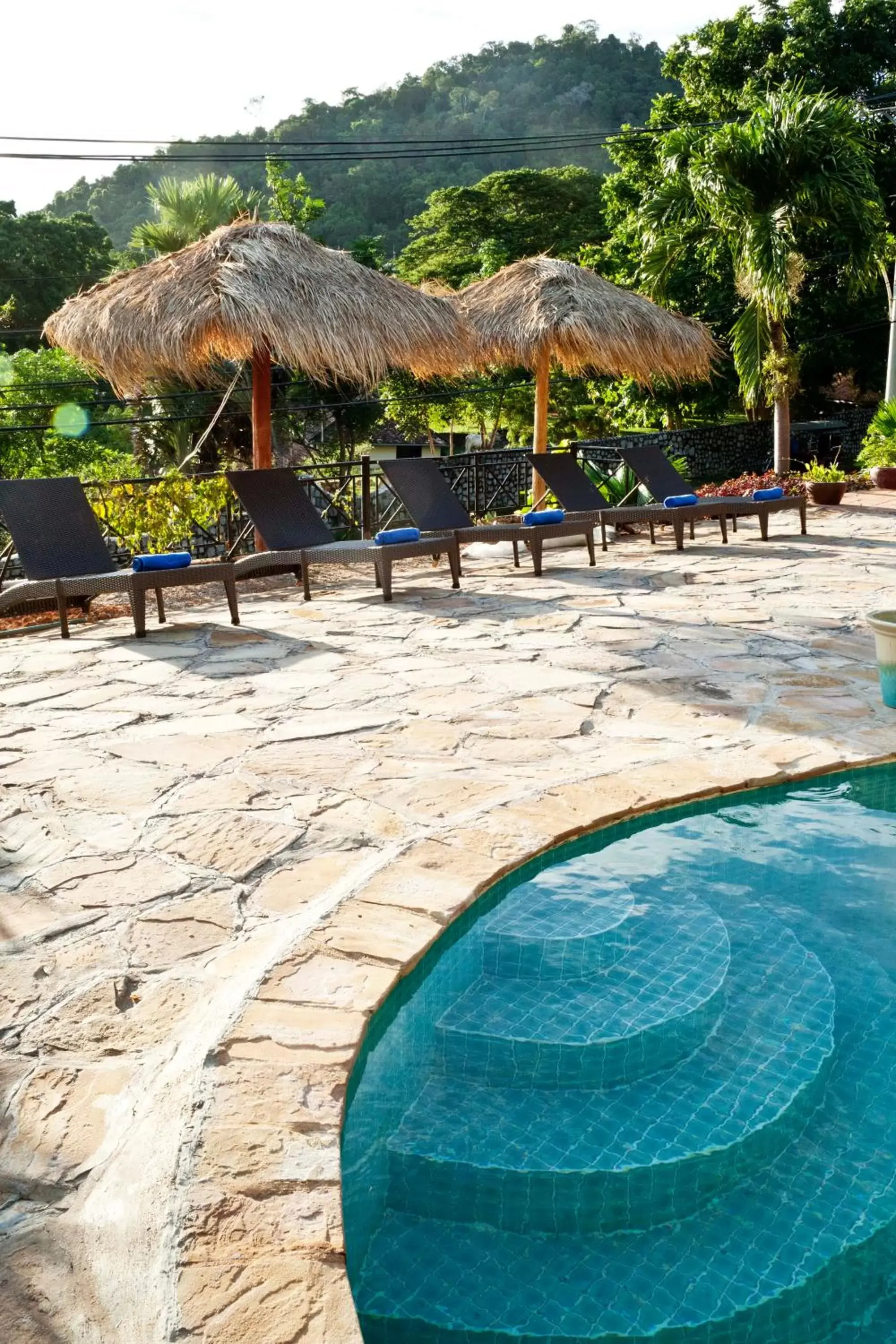 Swimming Pool in The Beach House