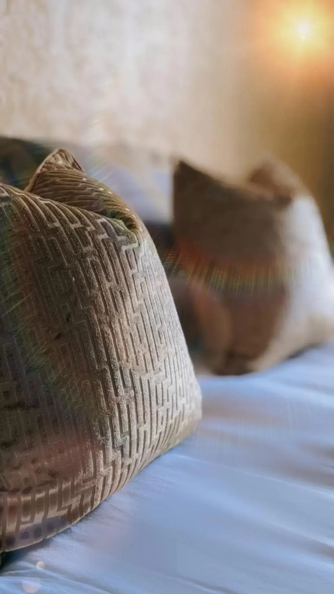 Deluxe Double Room with Shower in The Wheatsheaf Hotel Deluxe Double Room with Shower in The Wheatsheaf Hotel