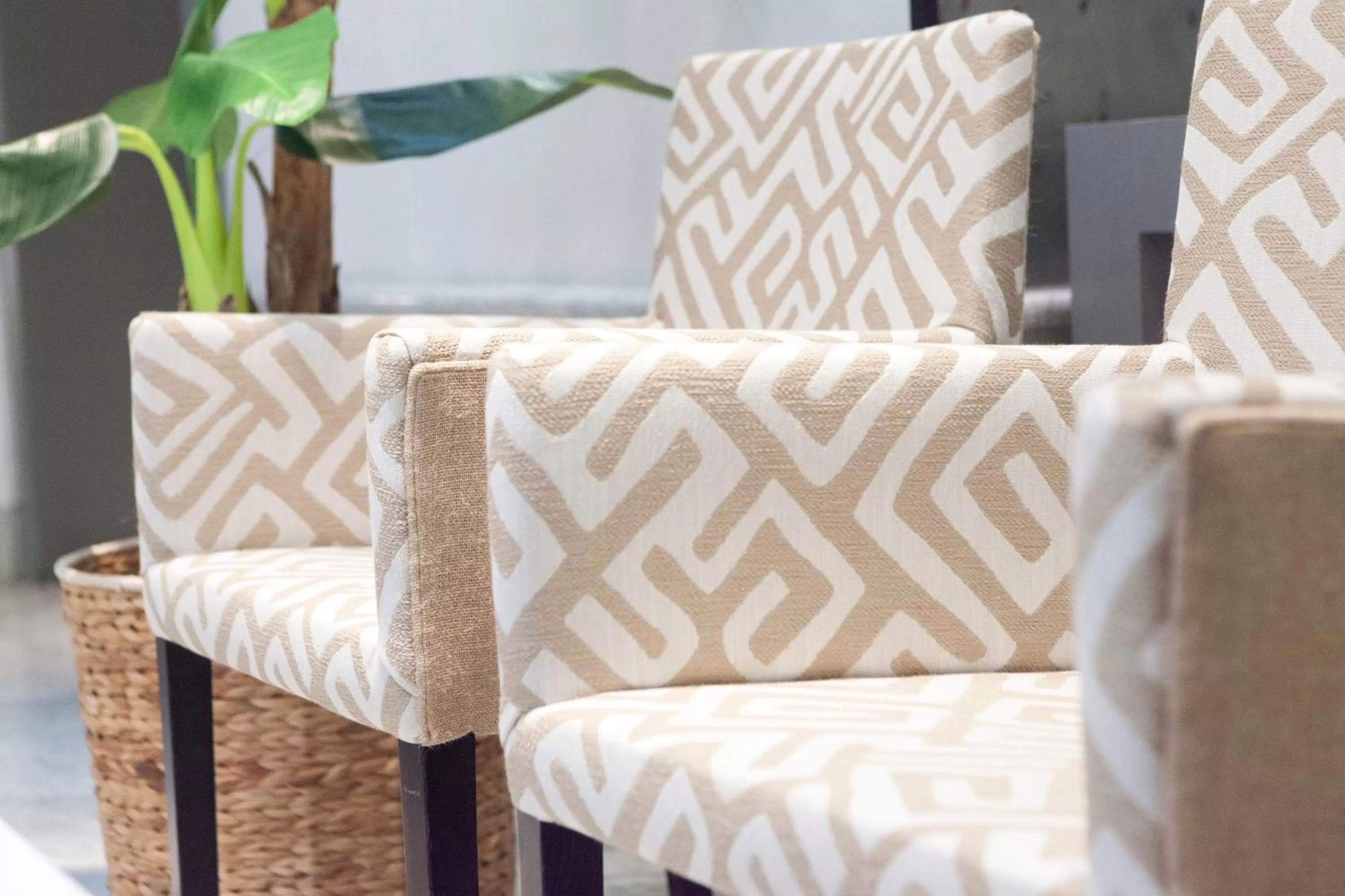 Lobby or reception in Petit Palace Santa Cruz