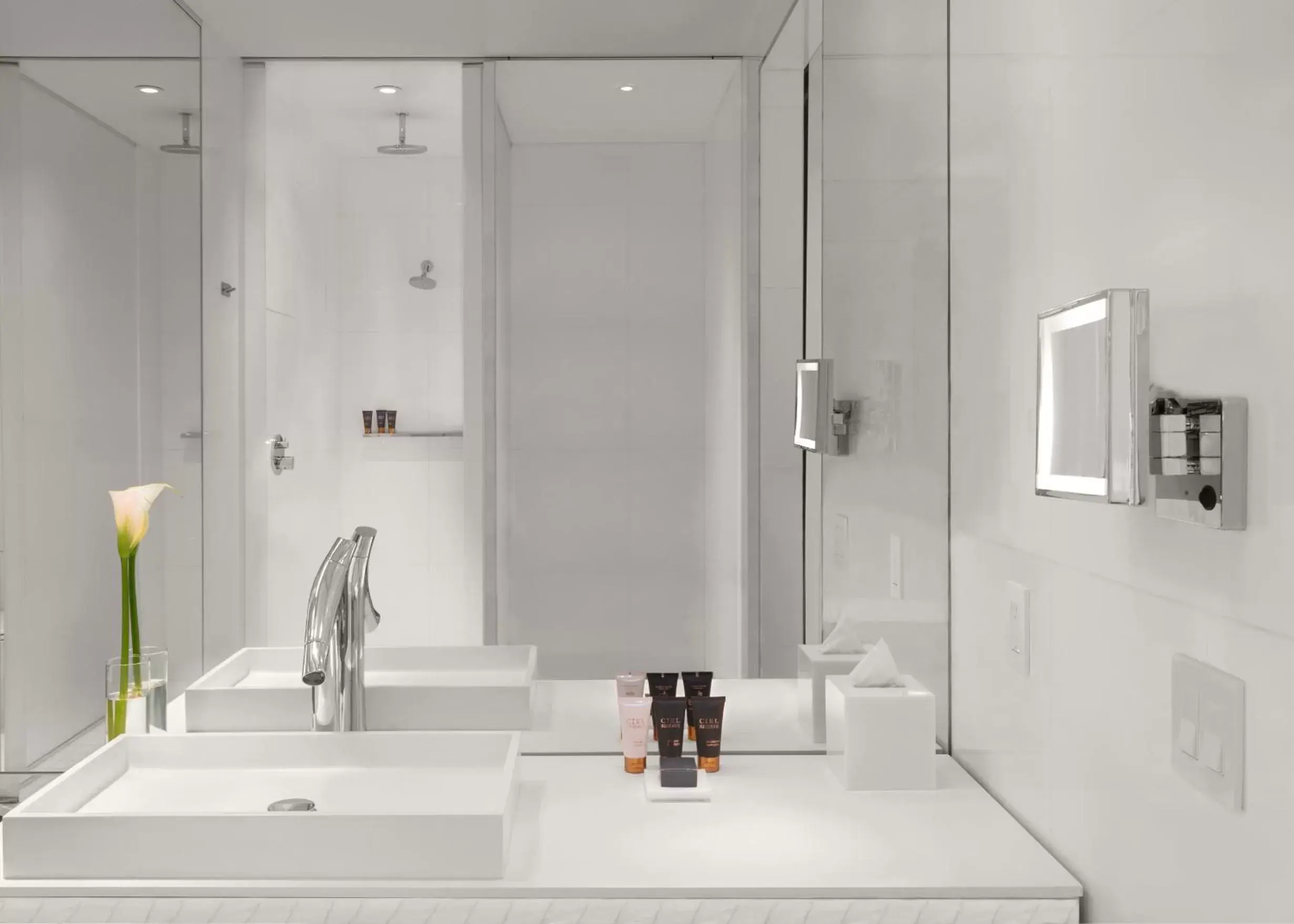 Shower, Bathroom in SLS Brickell