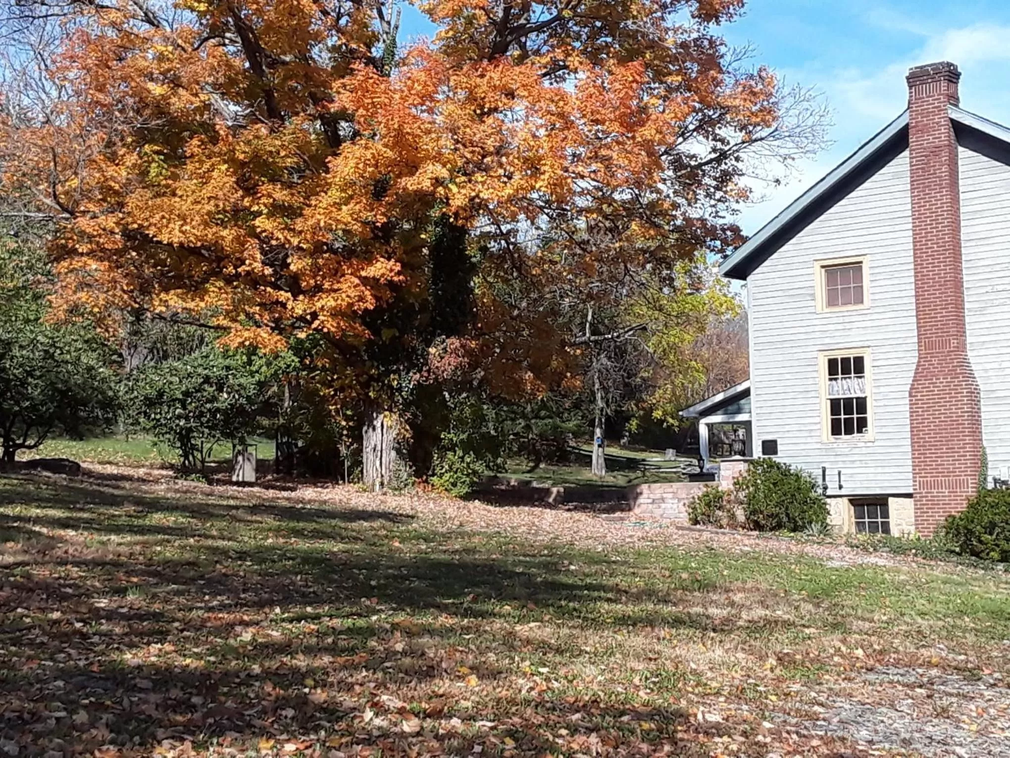 Garden, Property Building in Baneberry Meadows B&B