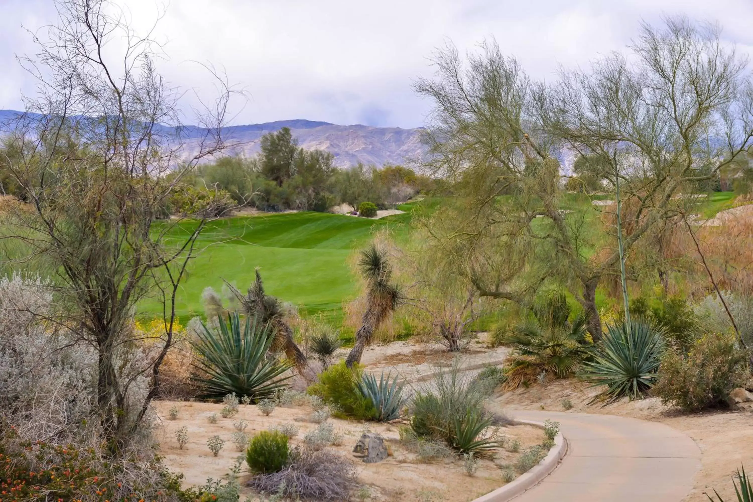 Photo of the whole room in Residence Inn Palm Desert