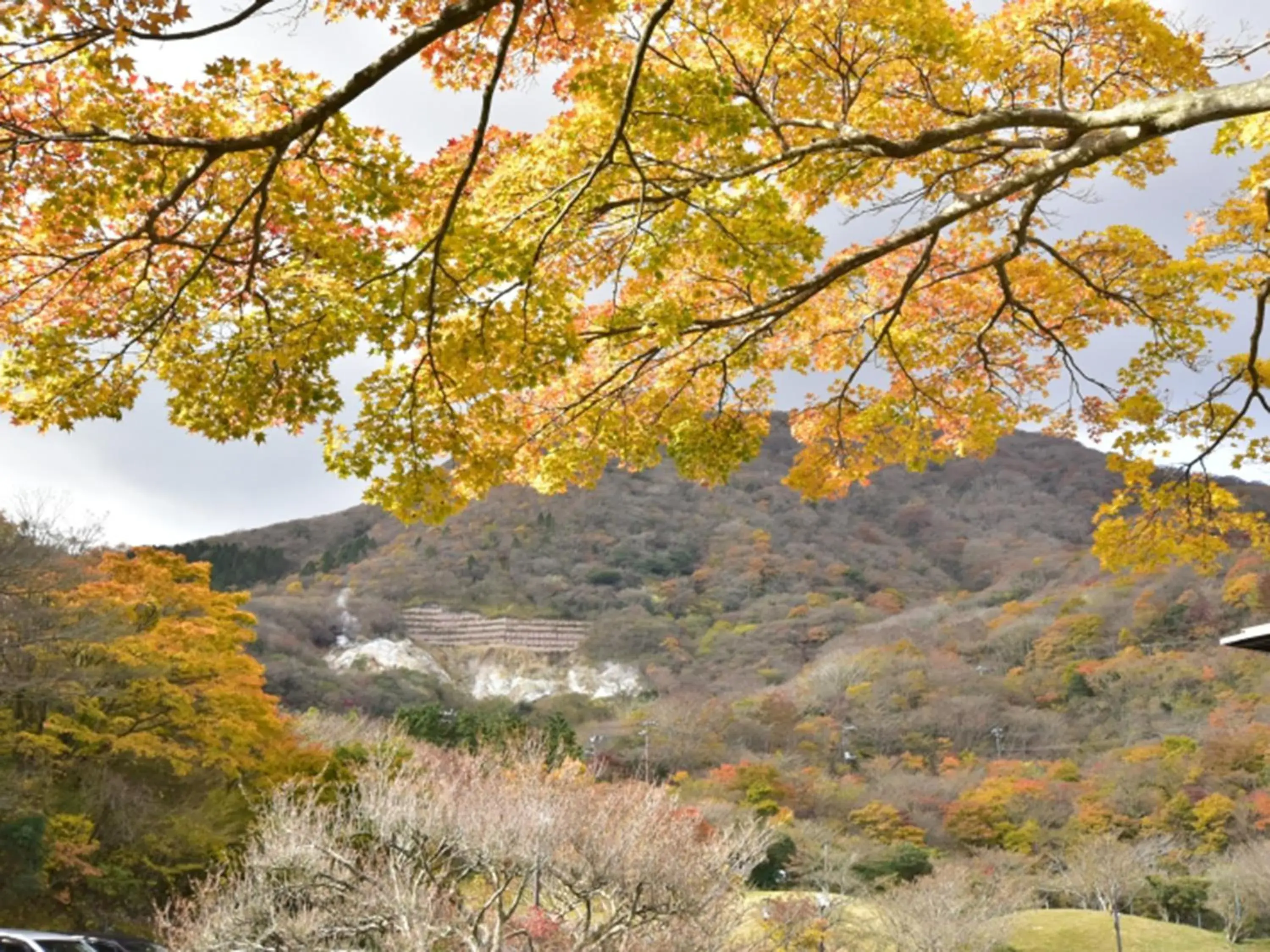 Natural Landscape in Hakone Yunohana Prince Hotel