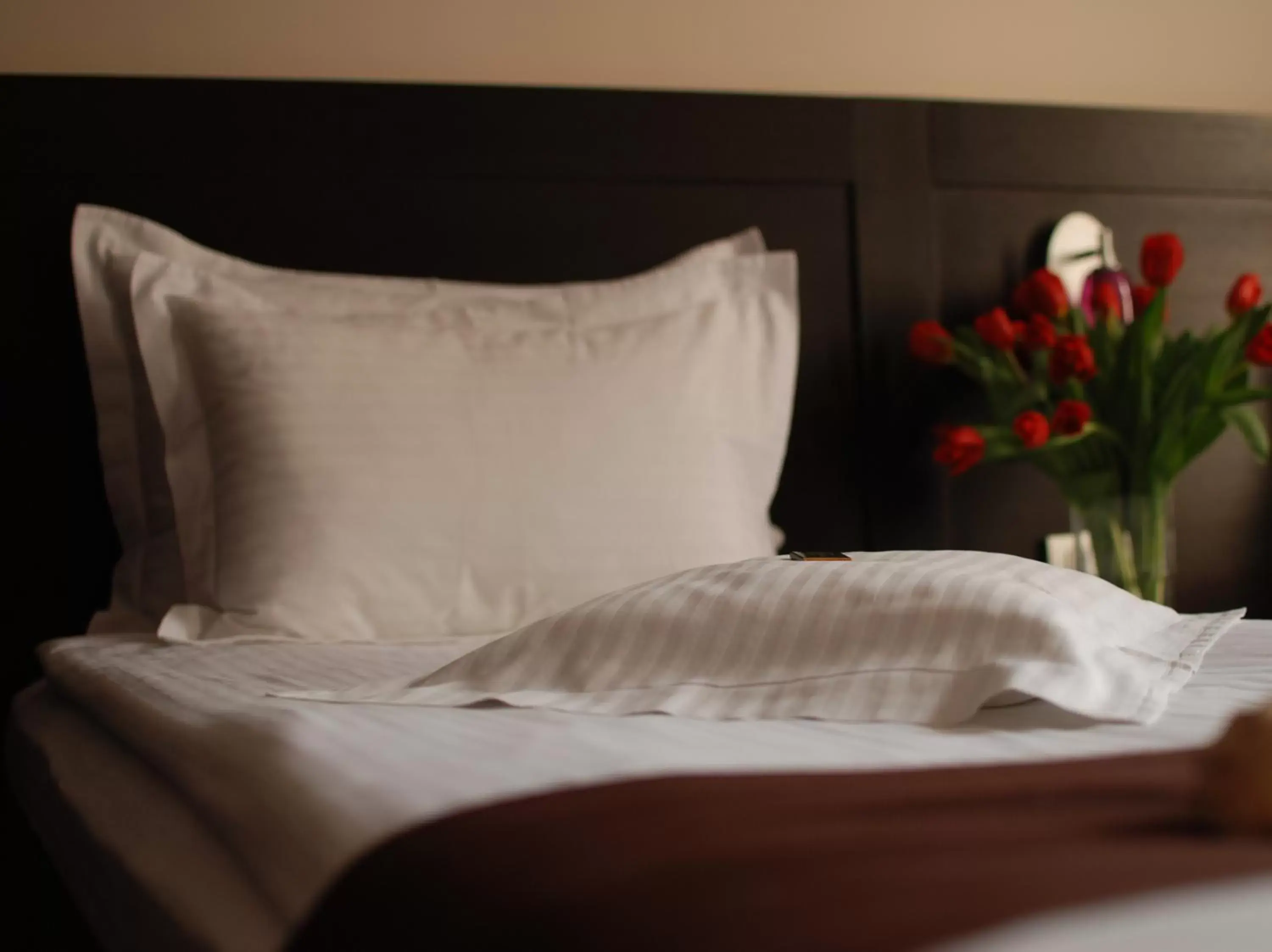 Bed in Hotel Cherica