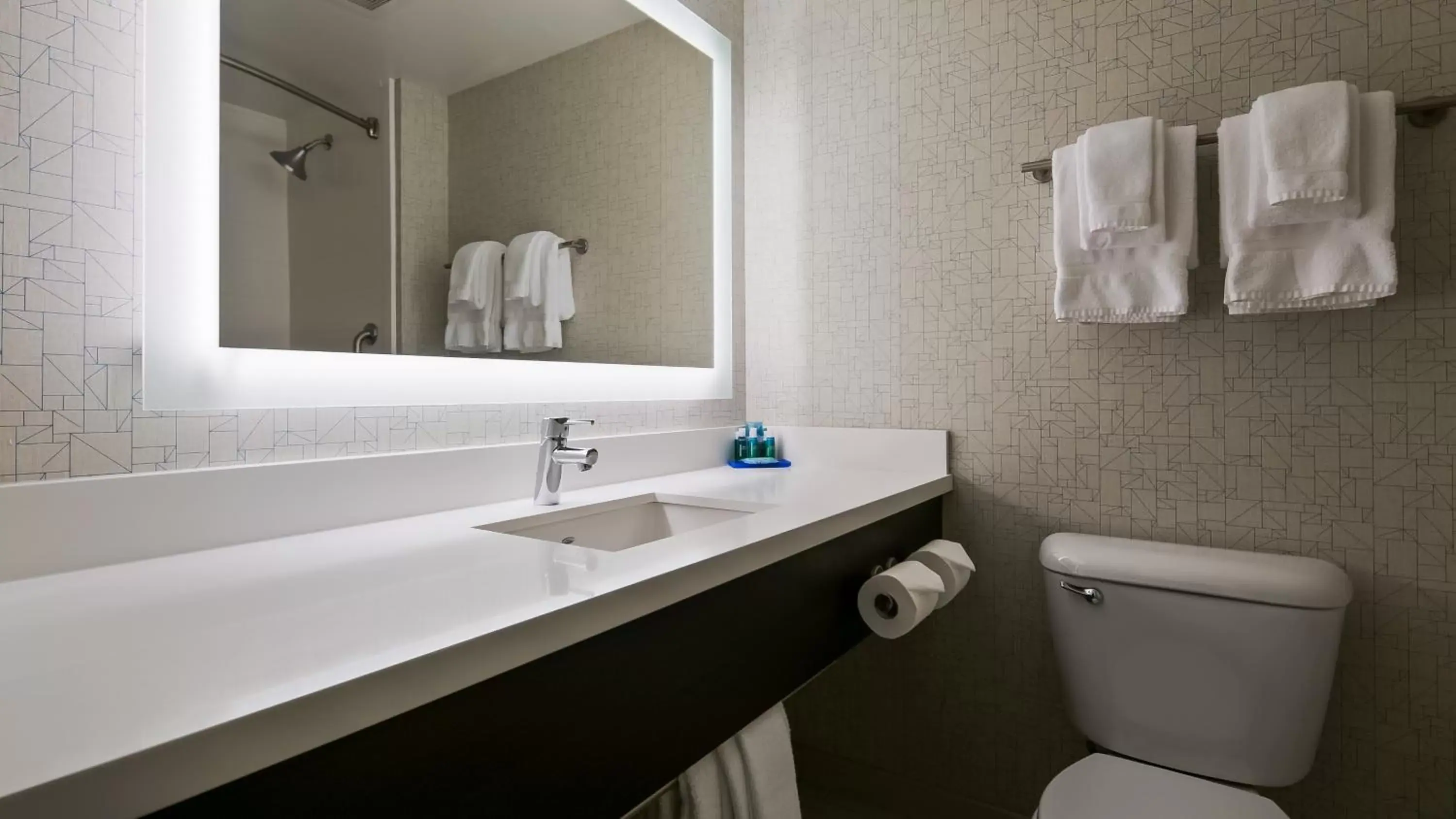 Bathroom in Holiday Inn Express Hotel & Suites Everett, an IHG Hotel