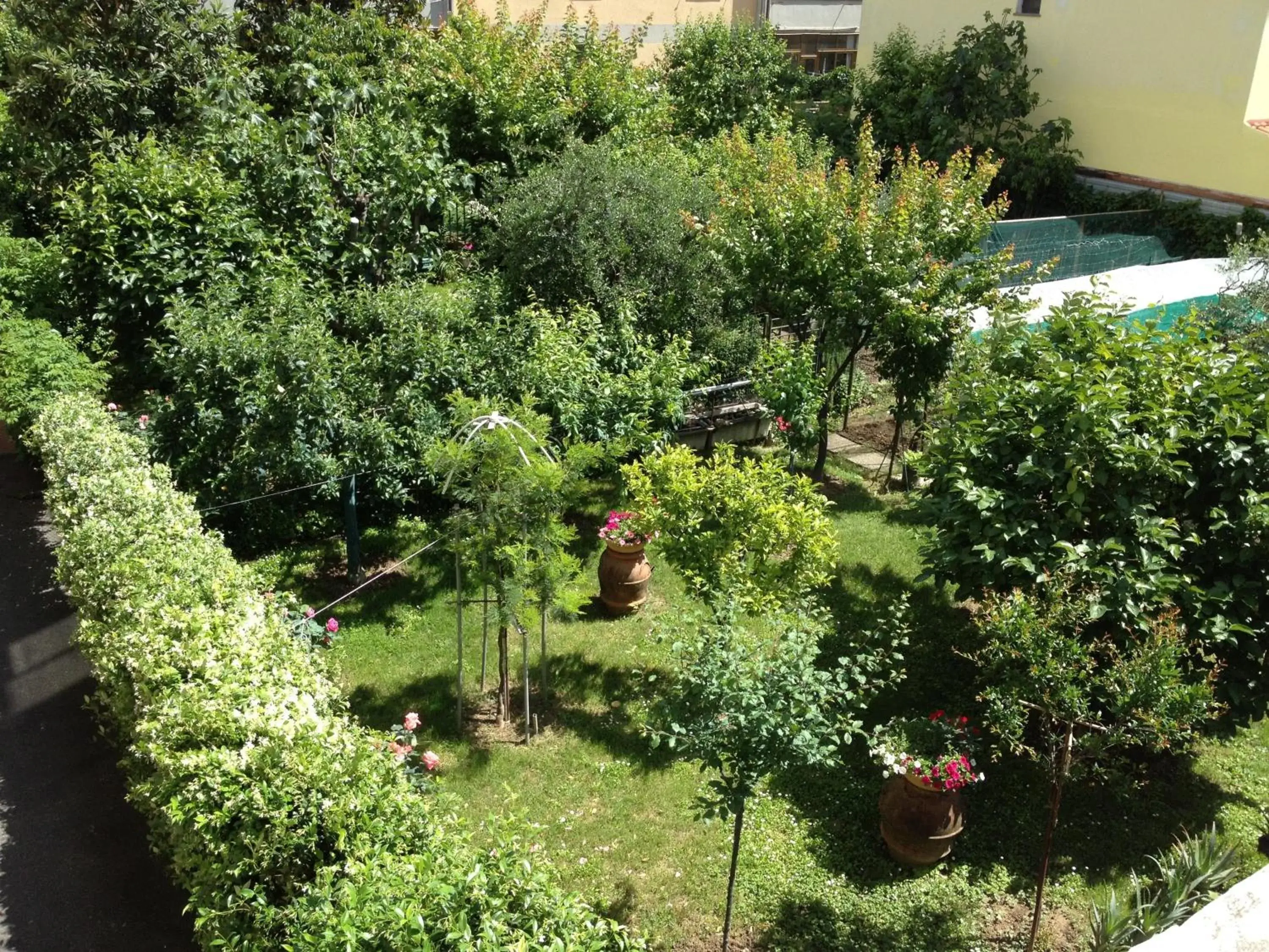 Day, Garden in Hotel Indicatore Budget & Business At A Glance