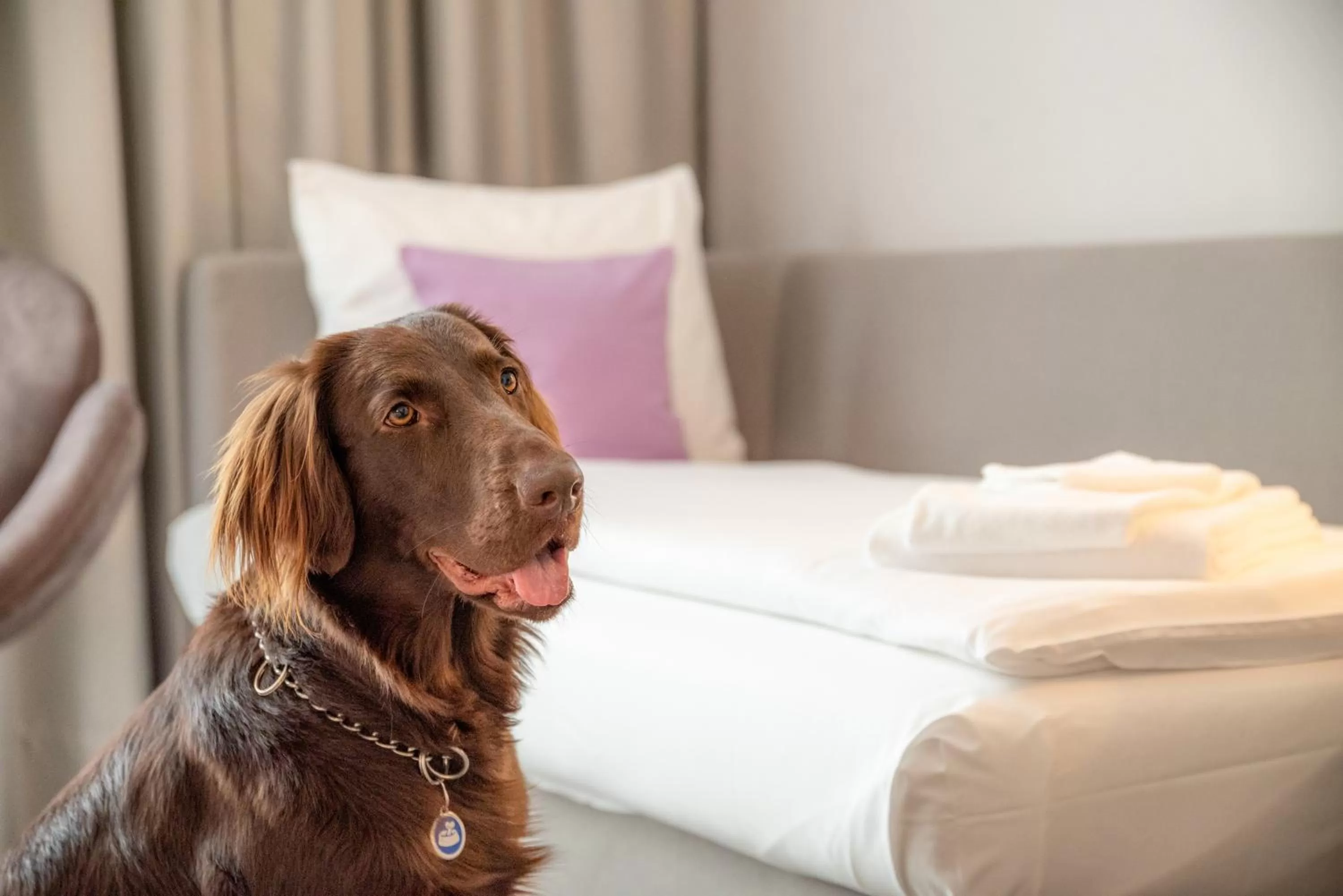 Bedroom, Bed in Hotel City Lugano