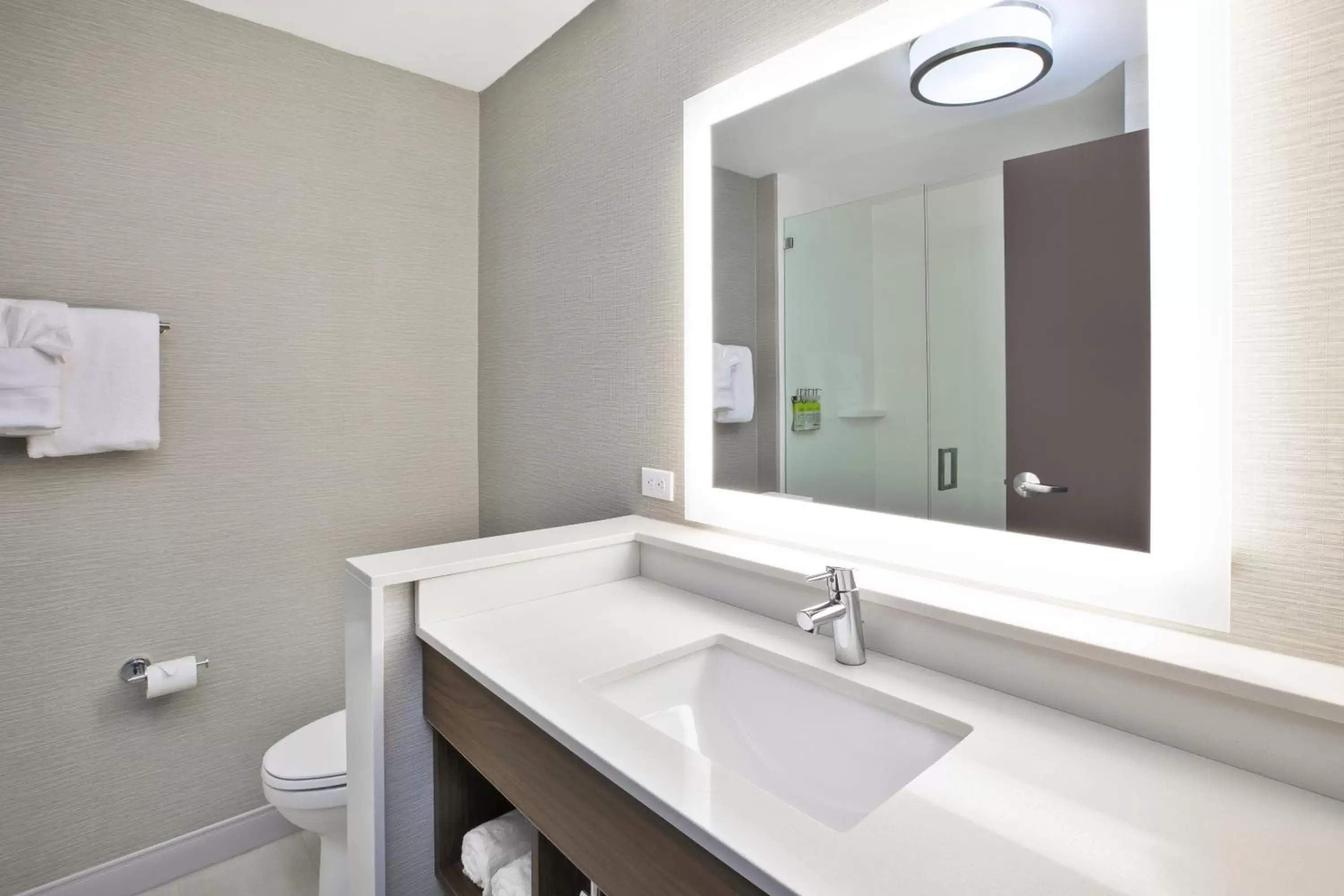 Bathroom in Holiday Inn Express & Suites - Okemos - University Area, an IHG Hotel