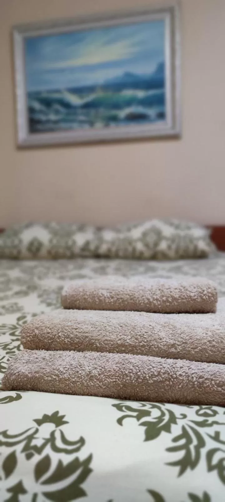 Comfort Triple Room with Shower in Old Town - Andrew descent