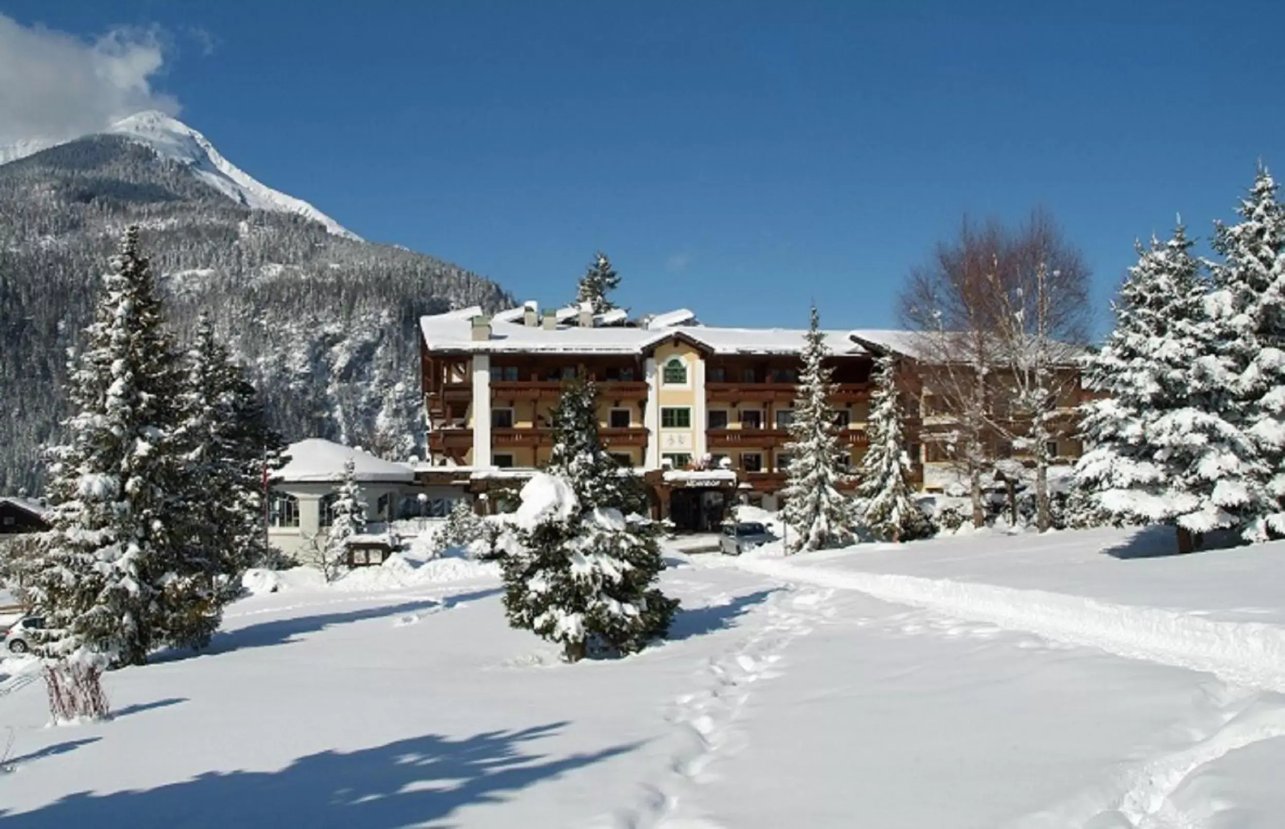 Facade/entrance, Winter in Wellness & Sporthotel Alpenhof