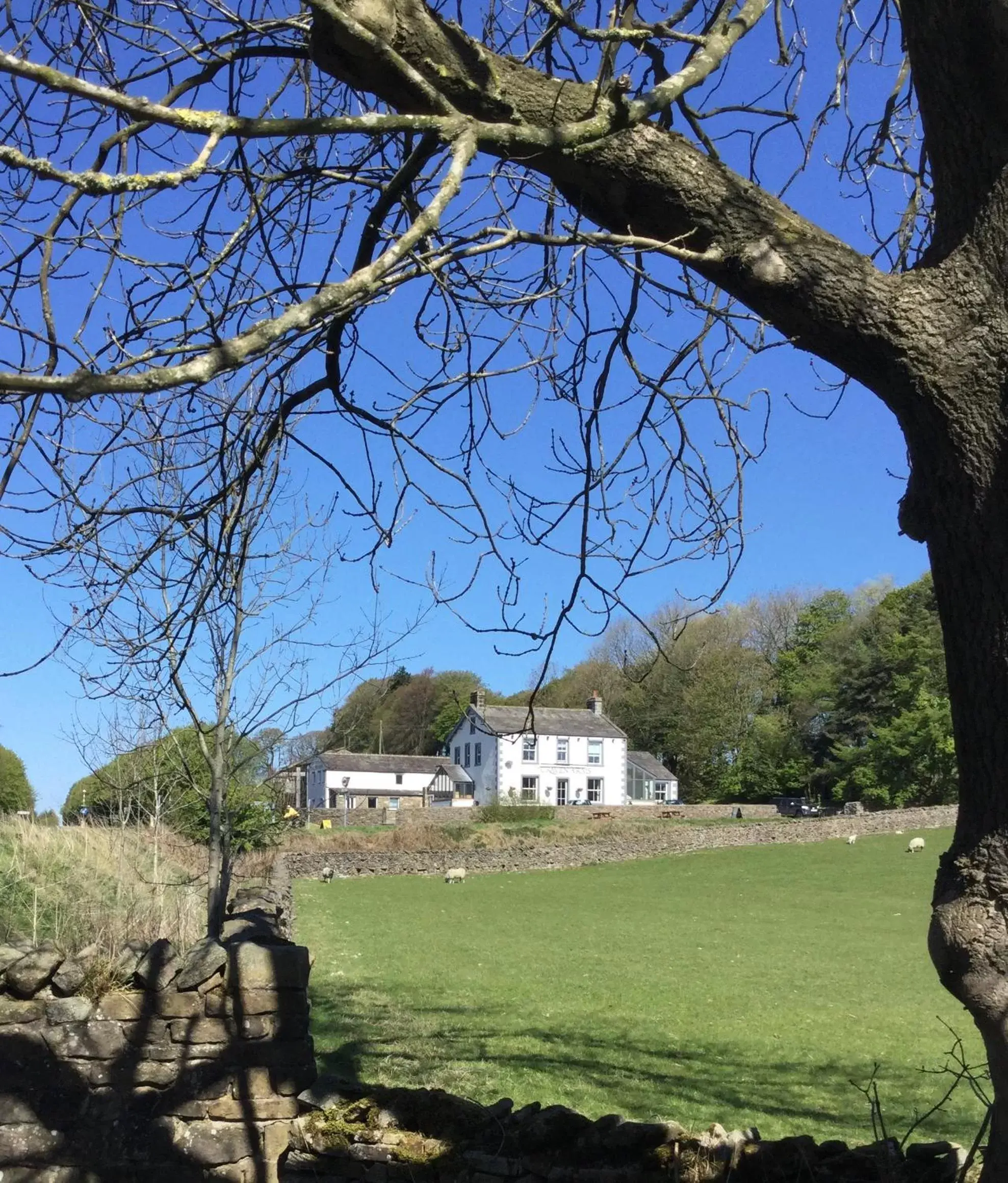 View (from property/room), Property Building in The Craven Arms