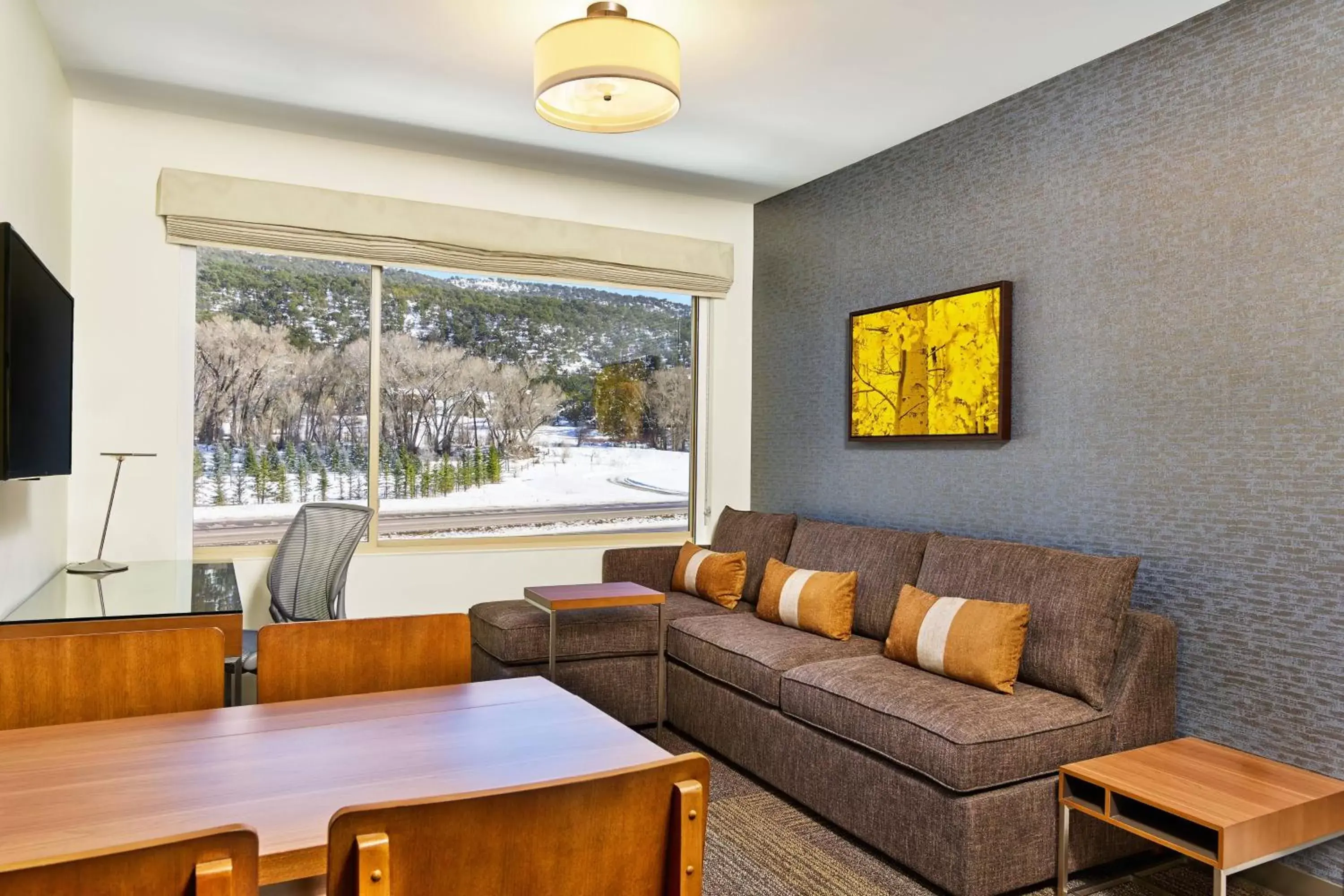 Photo of the whole room, Seating Area in Element Basalt - Aspen