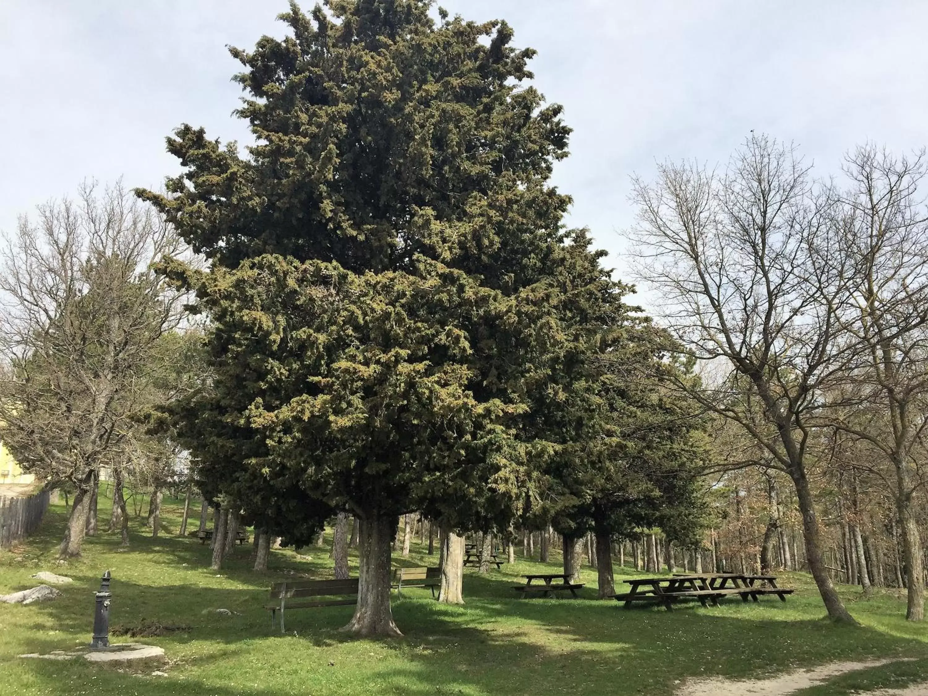 Property building, Garden in B&B Le Quercigliole