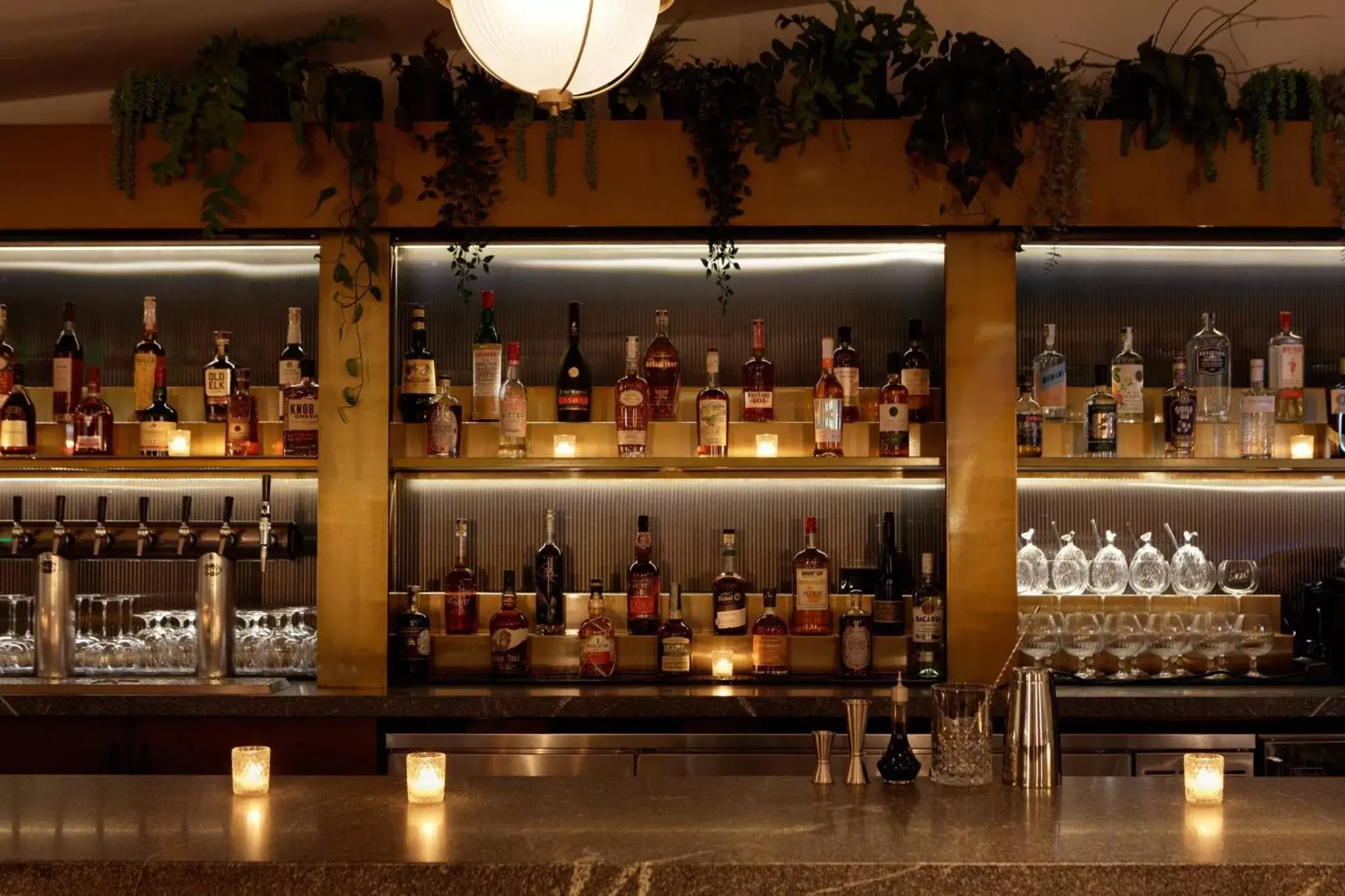 Lounge or bar, Lounge/Bar in Kimpton Shane Atlanta, an IHG Hotel