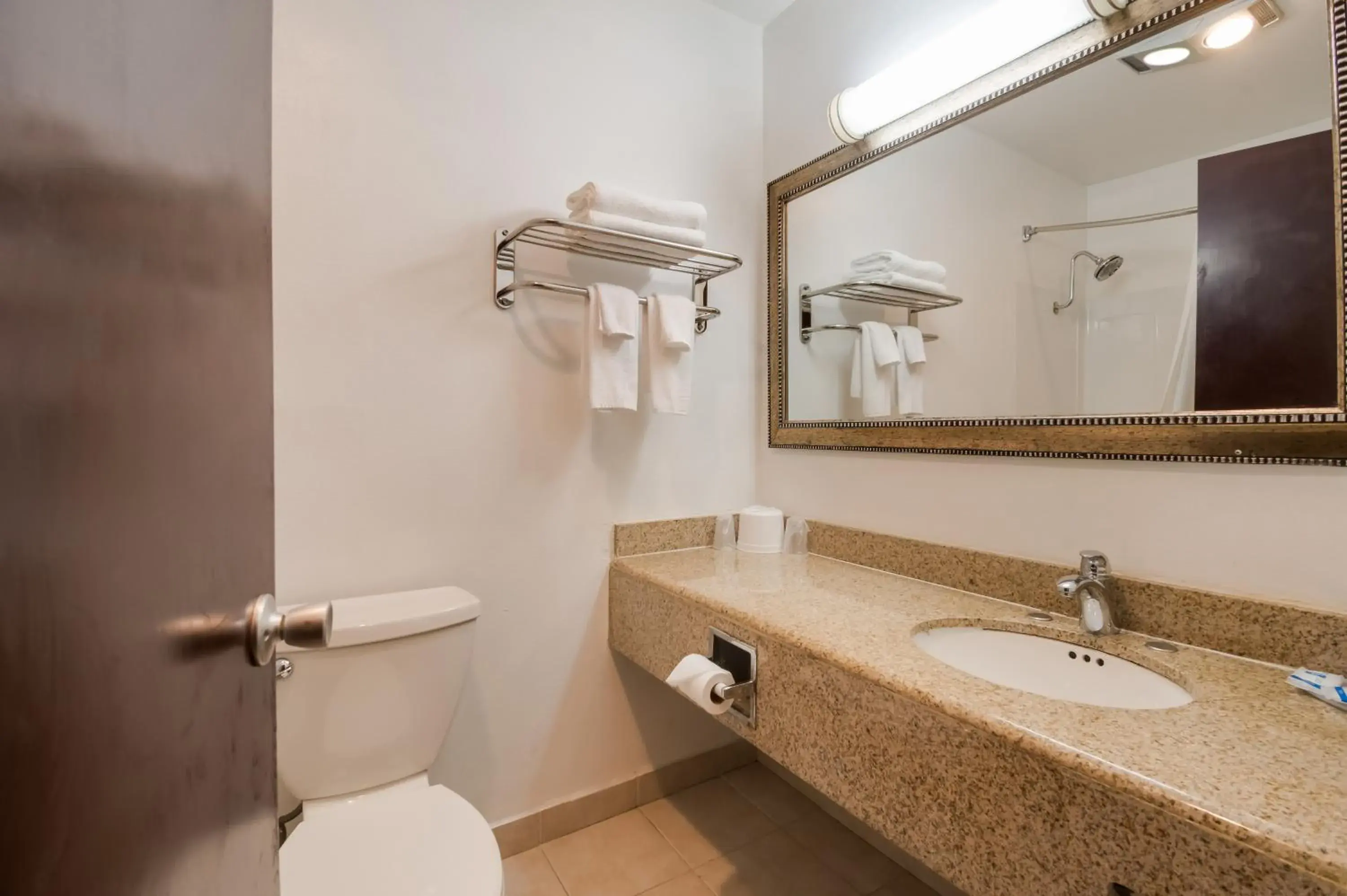 Bathroom in Rodeway Inn & Suites Hwy 217 & 26 W