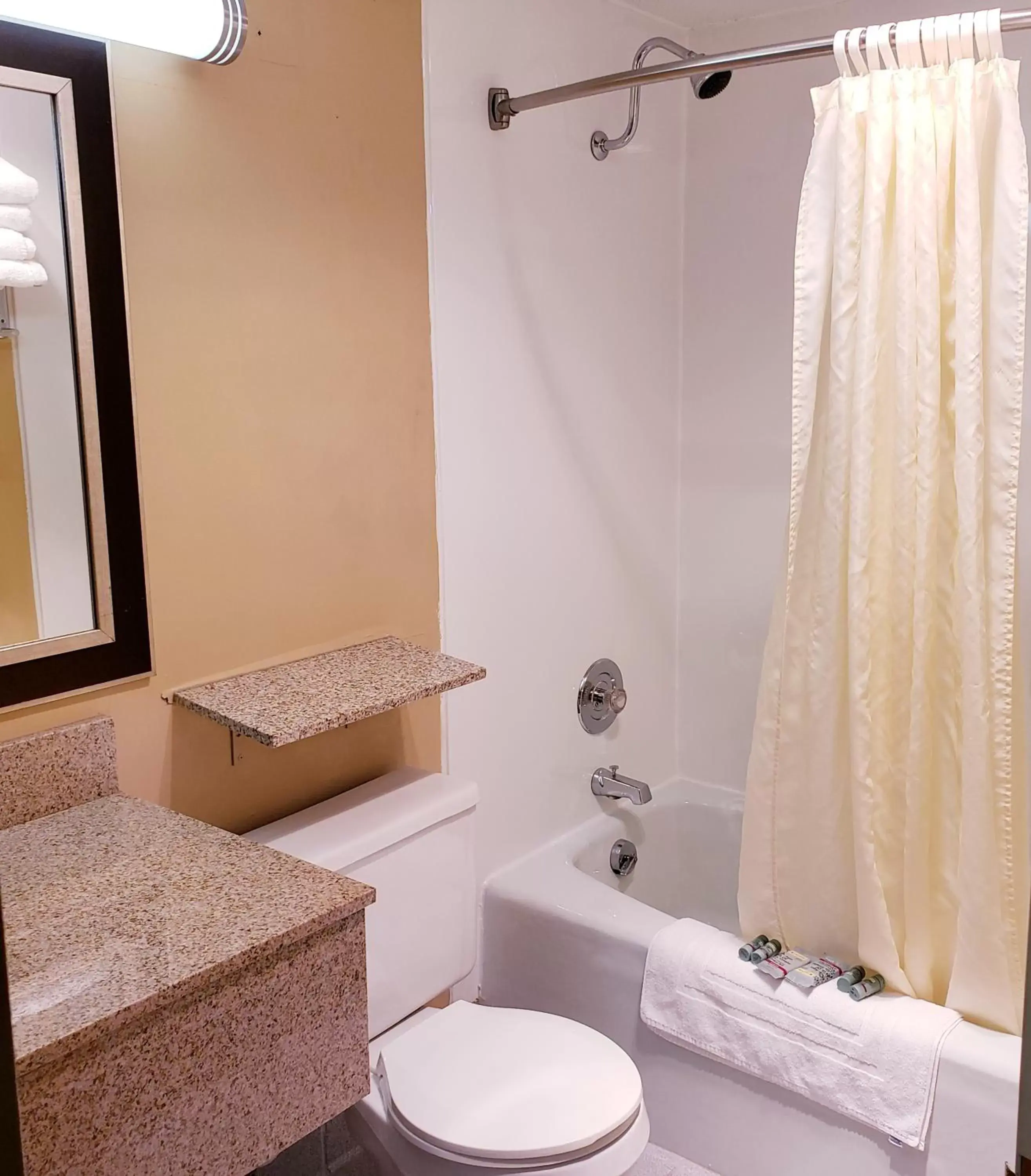 Bathroom in SureStay Plus Hotel by Best Western Black River Falls