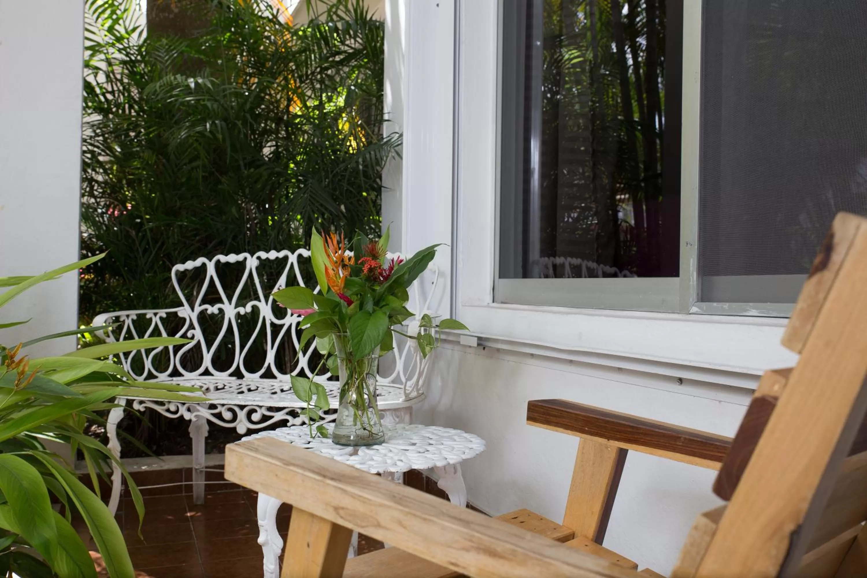 Garden view in Hotel Villas Colibrí Suites & Bungalows