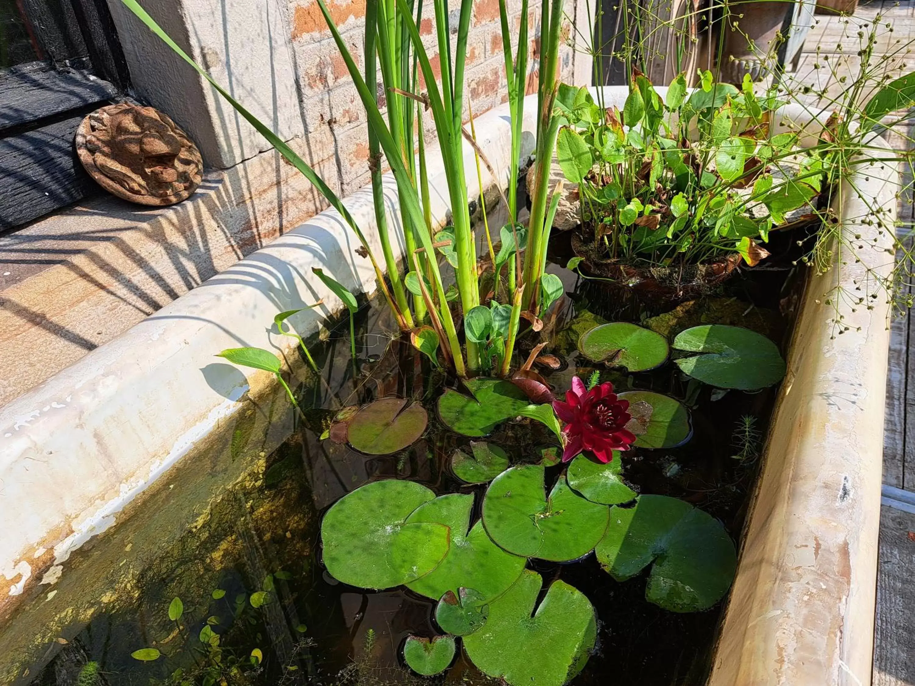 Garden in chambre d'hôtes Madame