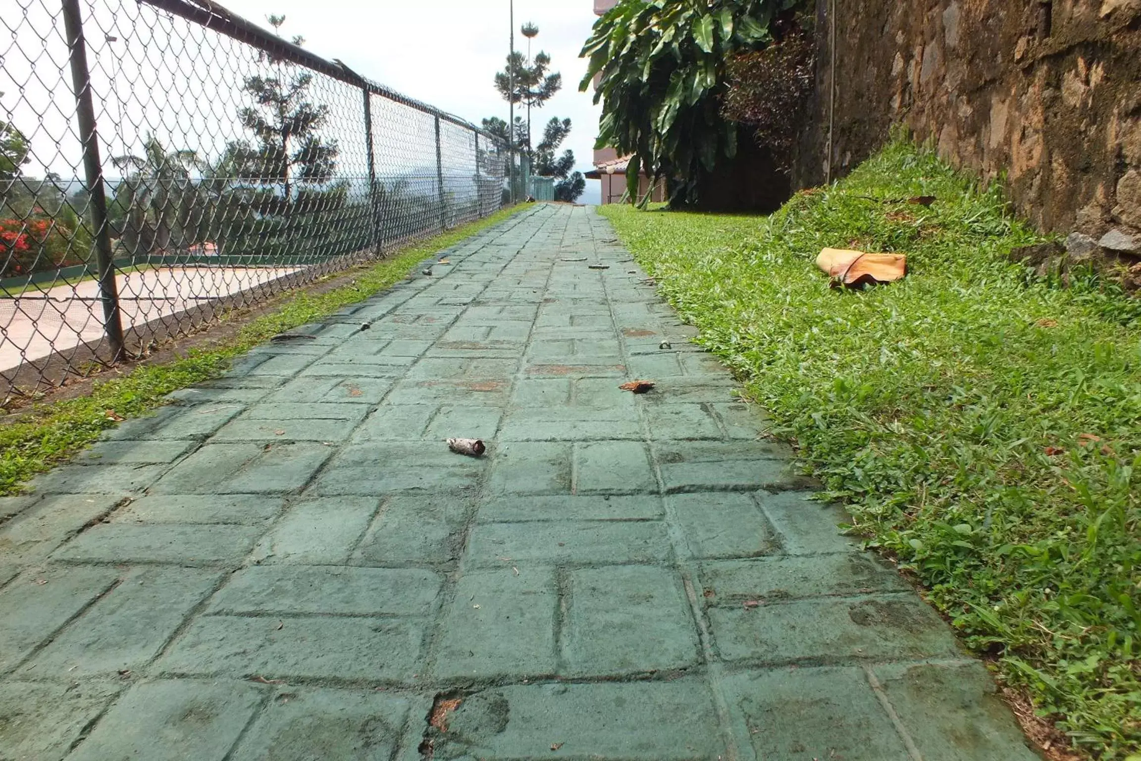 Tennis court in Hotel Topaz