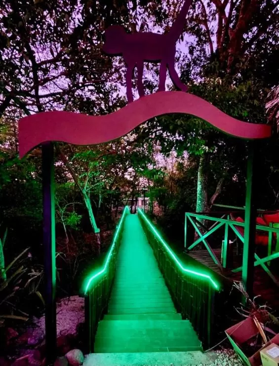 Winter in Antema Lodge Secteur Tamarindo, piscine, yoga, gym, jungle et paix