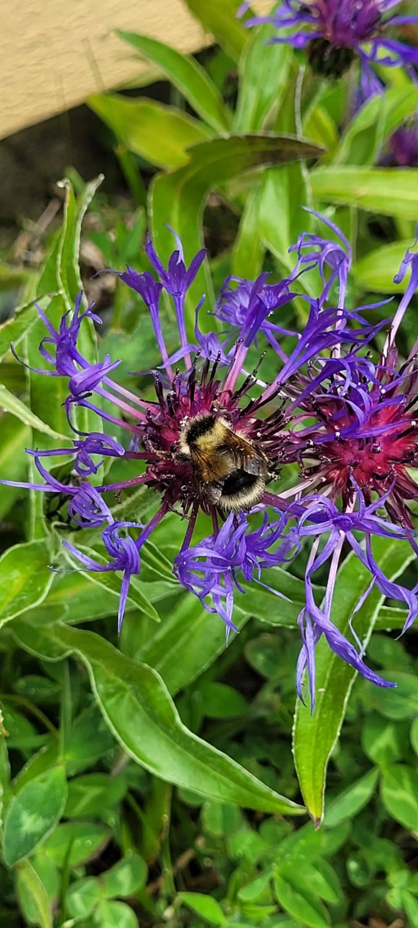 Natural landscape, Other Animals in The Harbourside Inn & Cafe