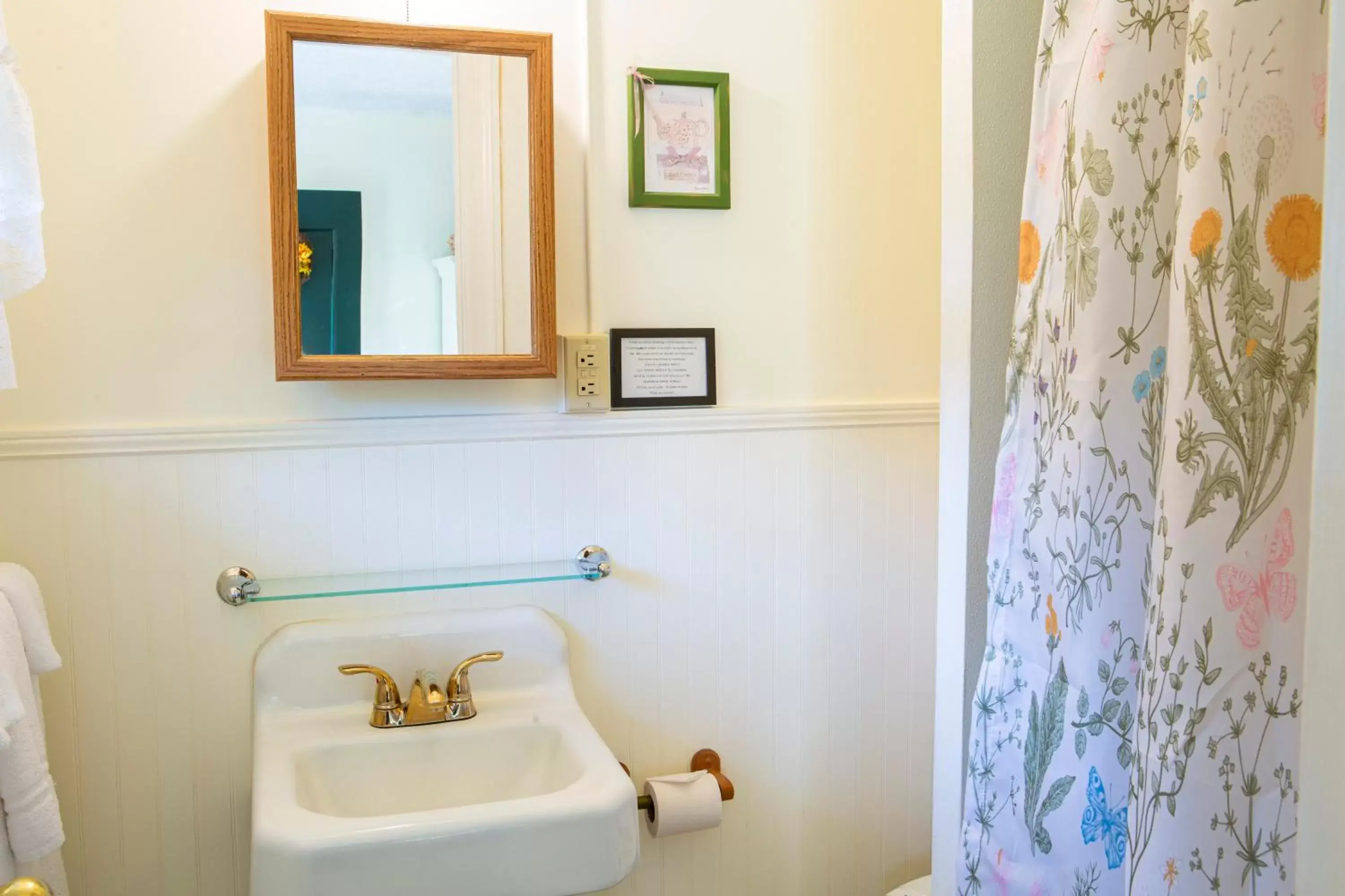 Shower, Bathroom in The Chimney Rock Inn & Cottages