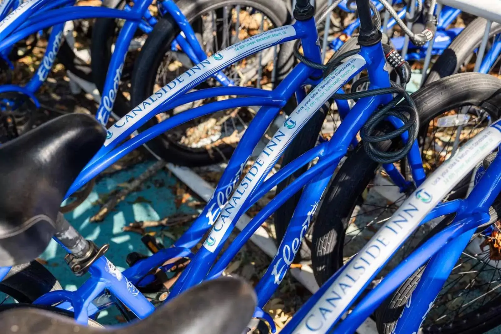 Cycling, Biking in Canalside Inn