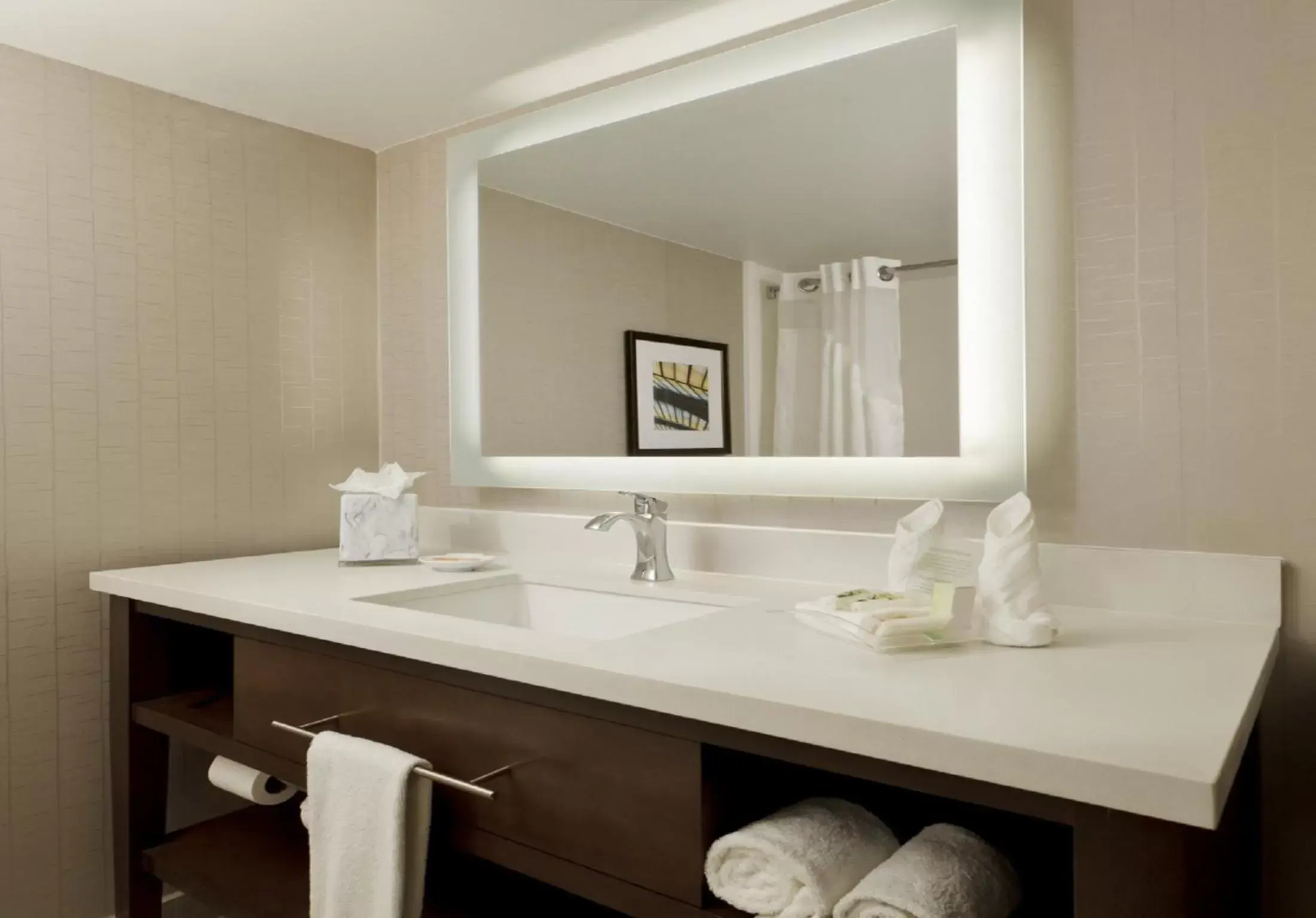 Bathroom in Holiday Inn San Antonio-Riverwalk, an IHG Hotel