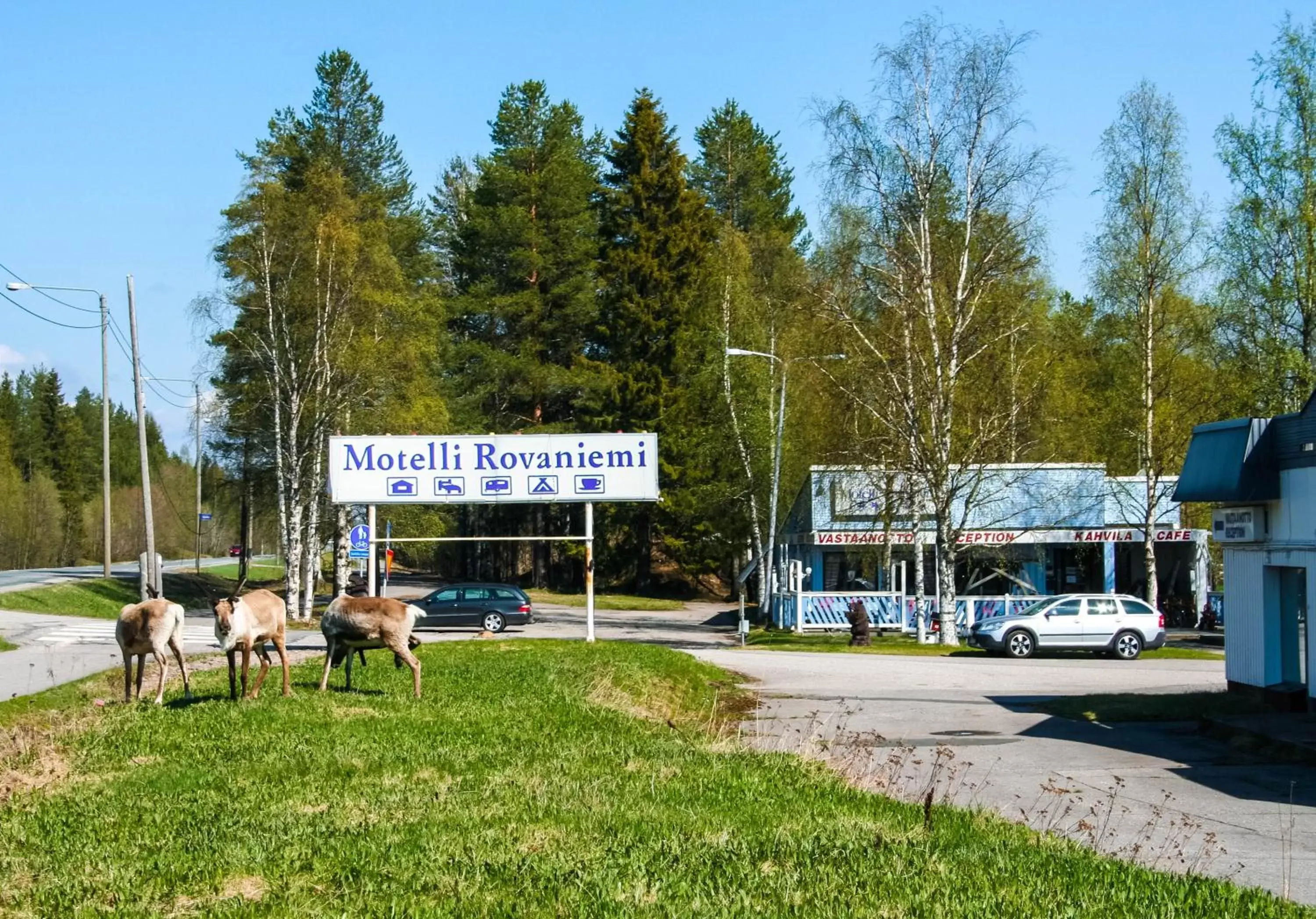 Animals in Motelli Rovaniemi