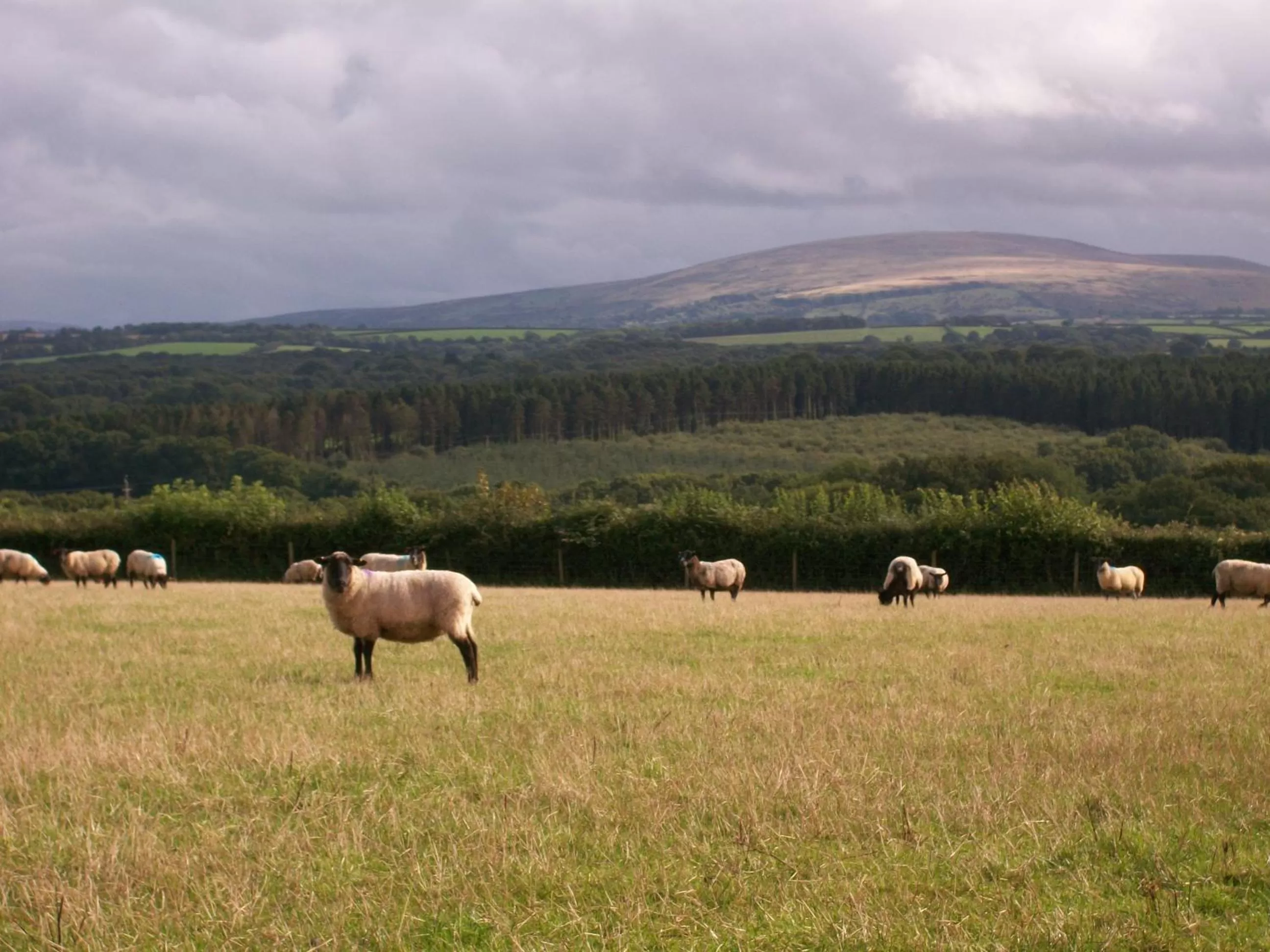 Natural landscape in Middletown Farmhouse B&B