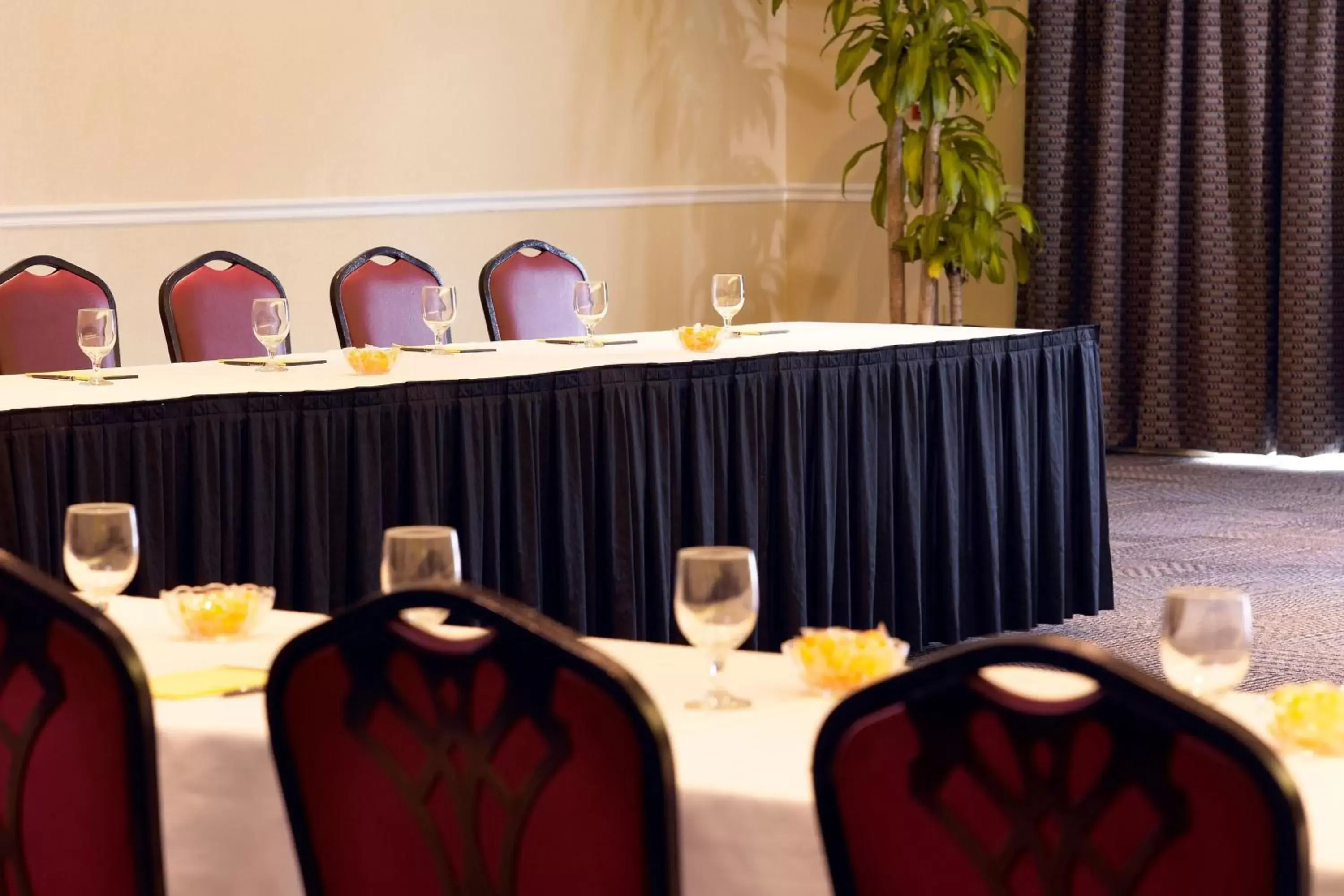 Meeting/conference room in Sheraton Vistana Resort Villas, Lake Buena Vista Orlando