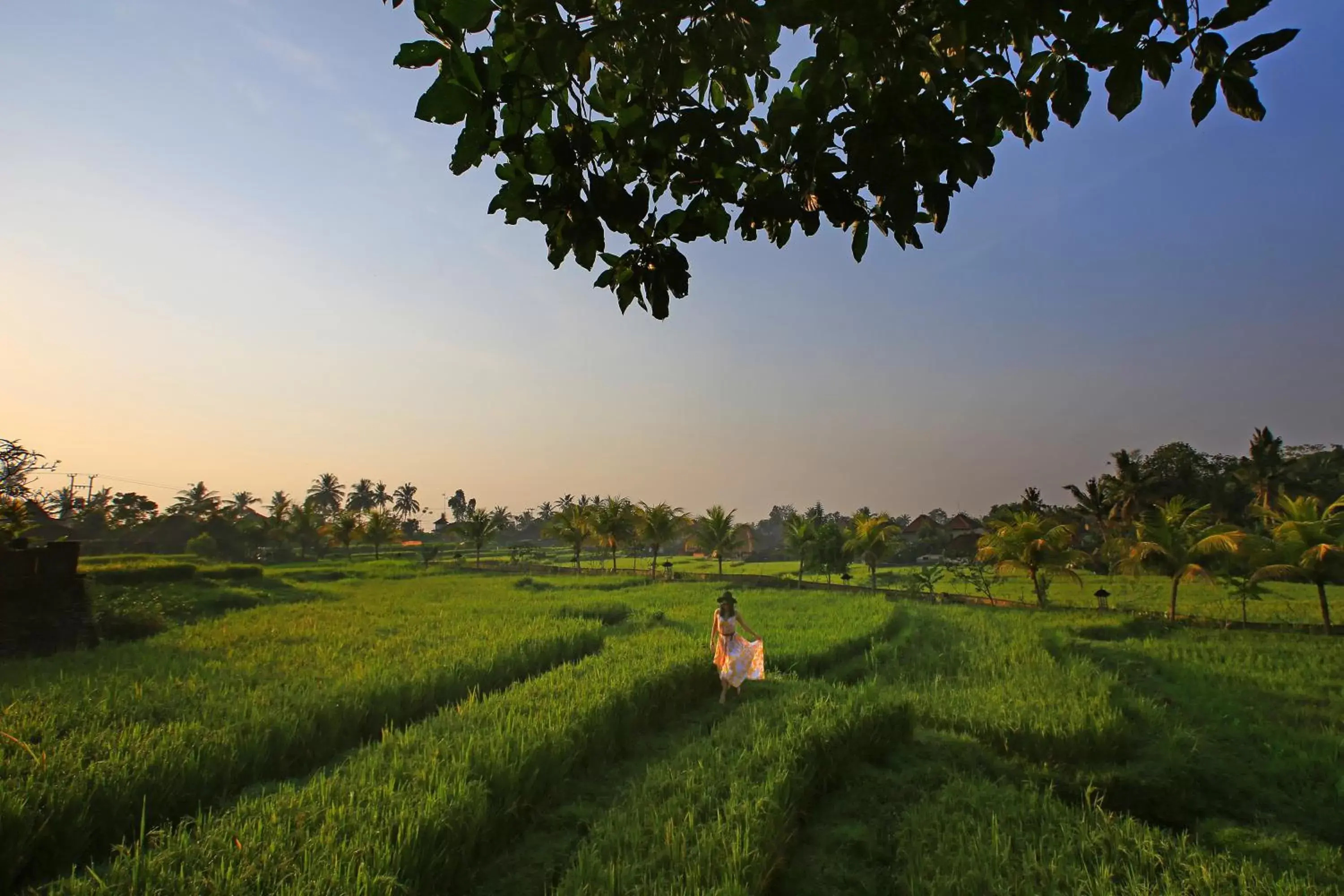 Landmark view in Wapa di Ume Ubud